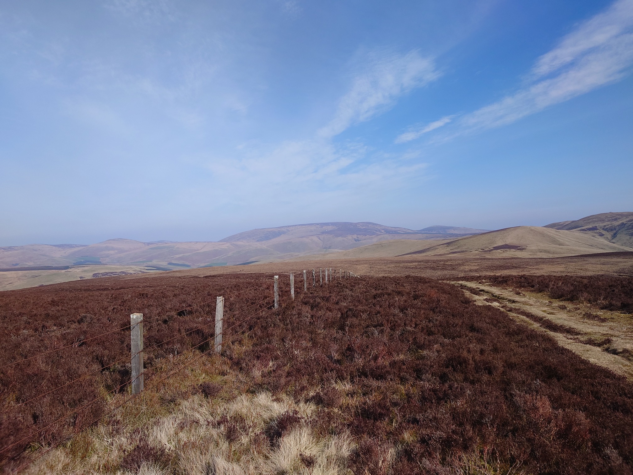 Rolling hills in the sun. The border fence stretches ahead, as the ground drops down away from us. Misty hills, including the stout Cheviot, are on the horizon.