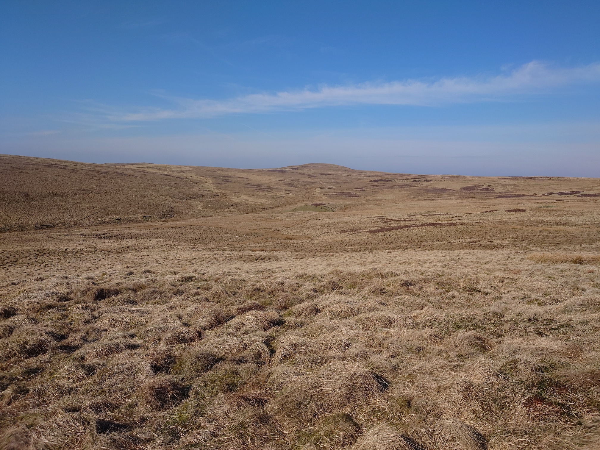 A large expanse of yellow, tussocky upland gass stretches off under the blue sky. On the distant horizon a small hill rises up.