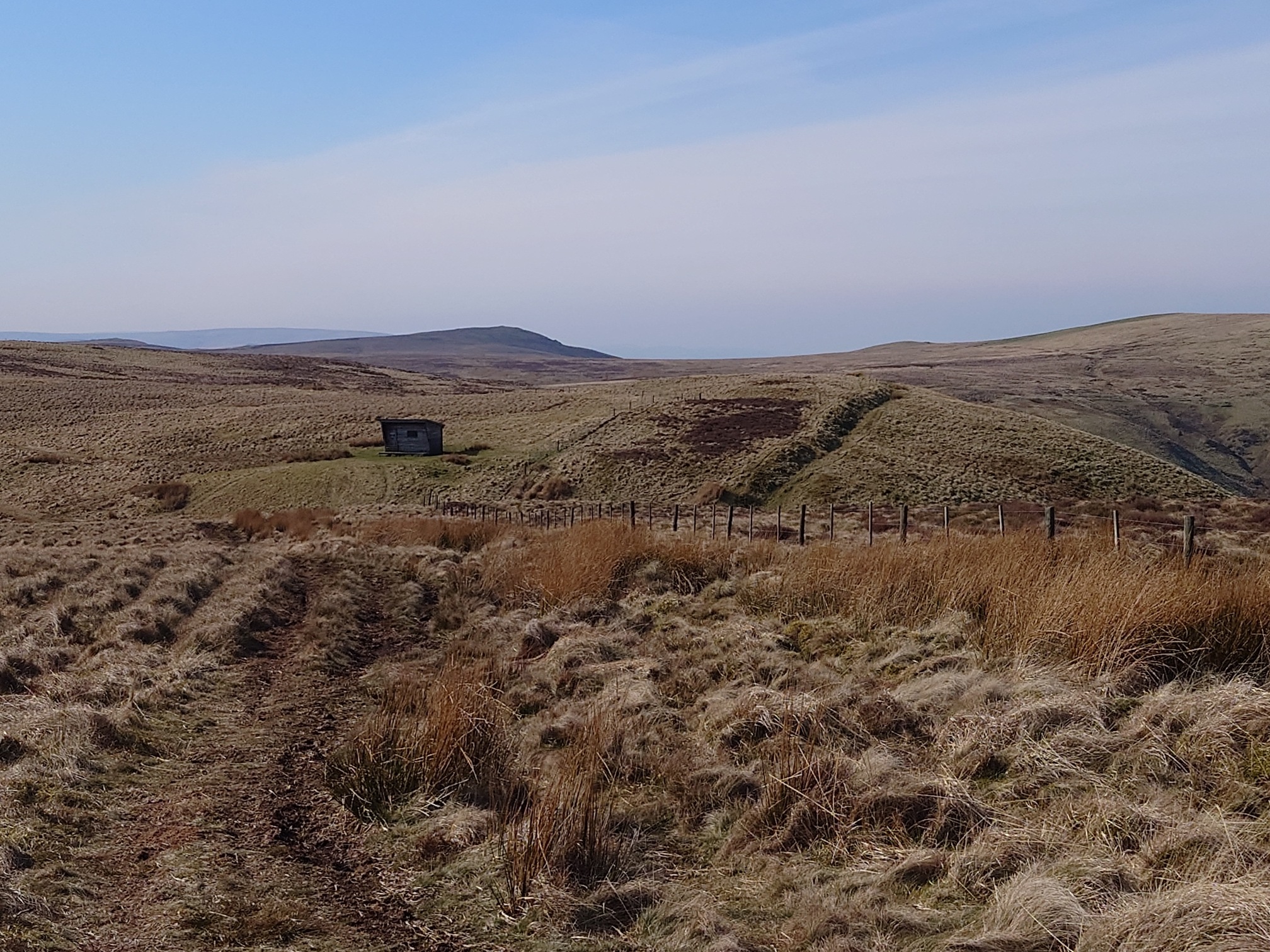 The ground is covered in tussocks of grass, heather and rushes. It slope down to a small shed-like structure, and the border fence (simple post and wire) runs towards and past it. On the other side of the fence, a linear earthwork runs parellel to it.
