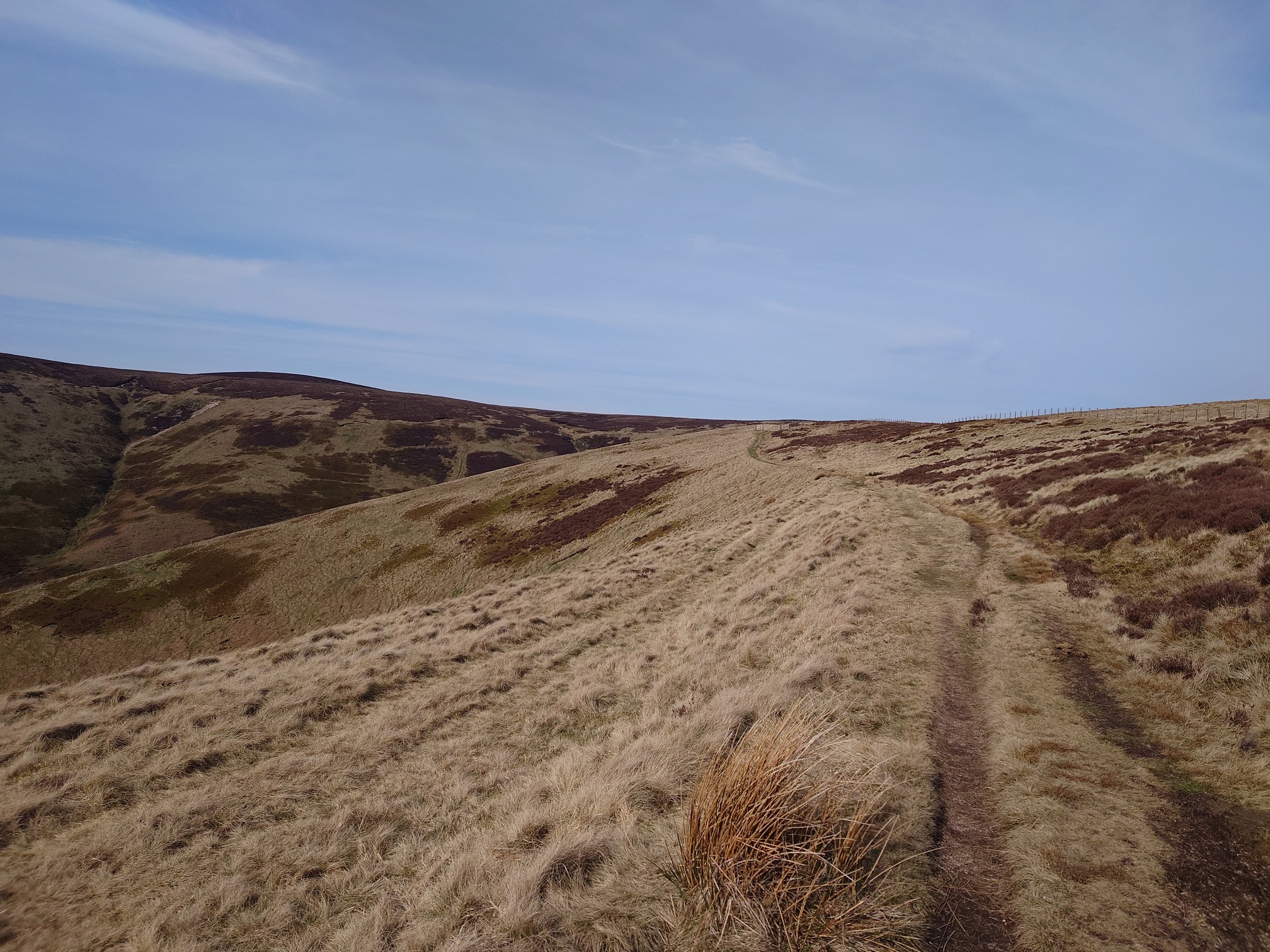 A rough track leads down from the hills of the Border Ridge. The ground is rough yellowy grass, with patches of brown heather