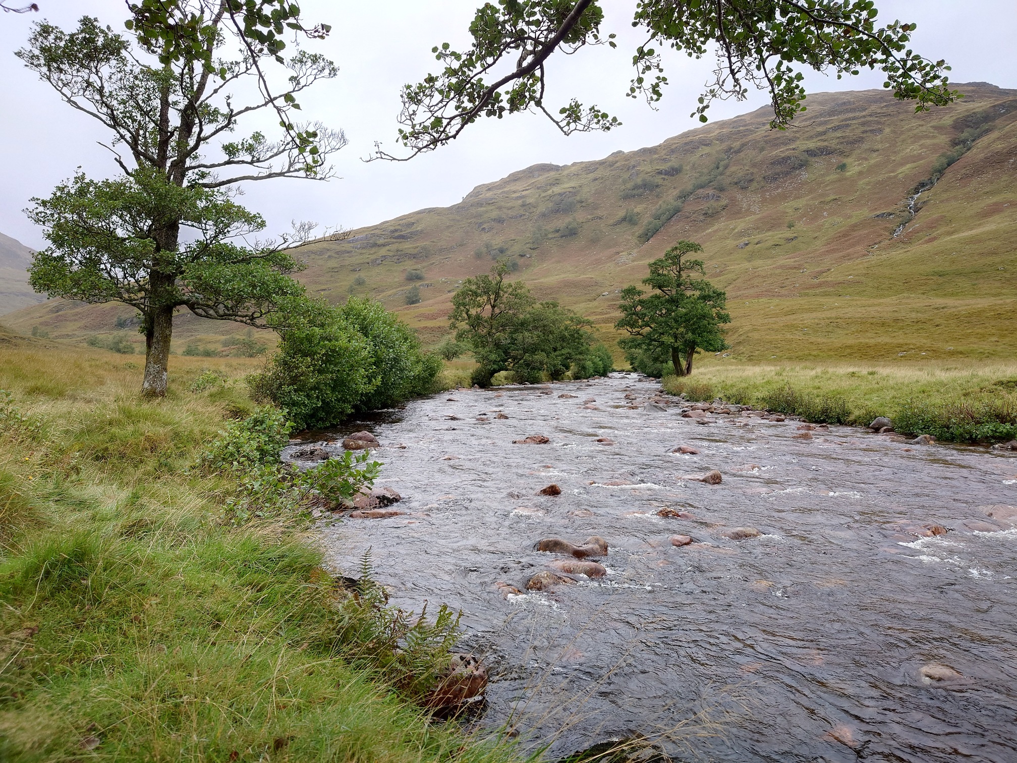 Now by the river's edge, where it flows wide between flatter banks. There are a few trees either side too.