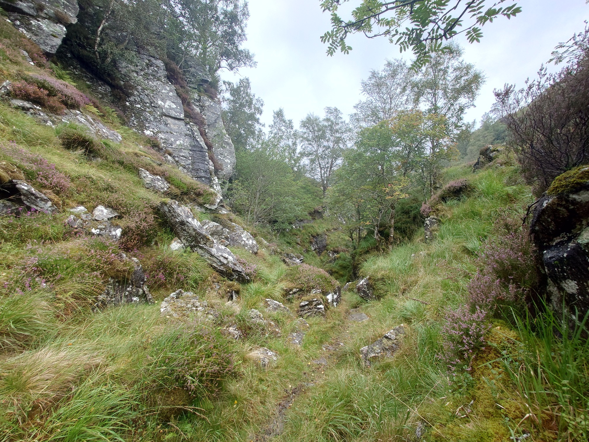 A narrow wooded ravine with rock faces rising up either side