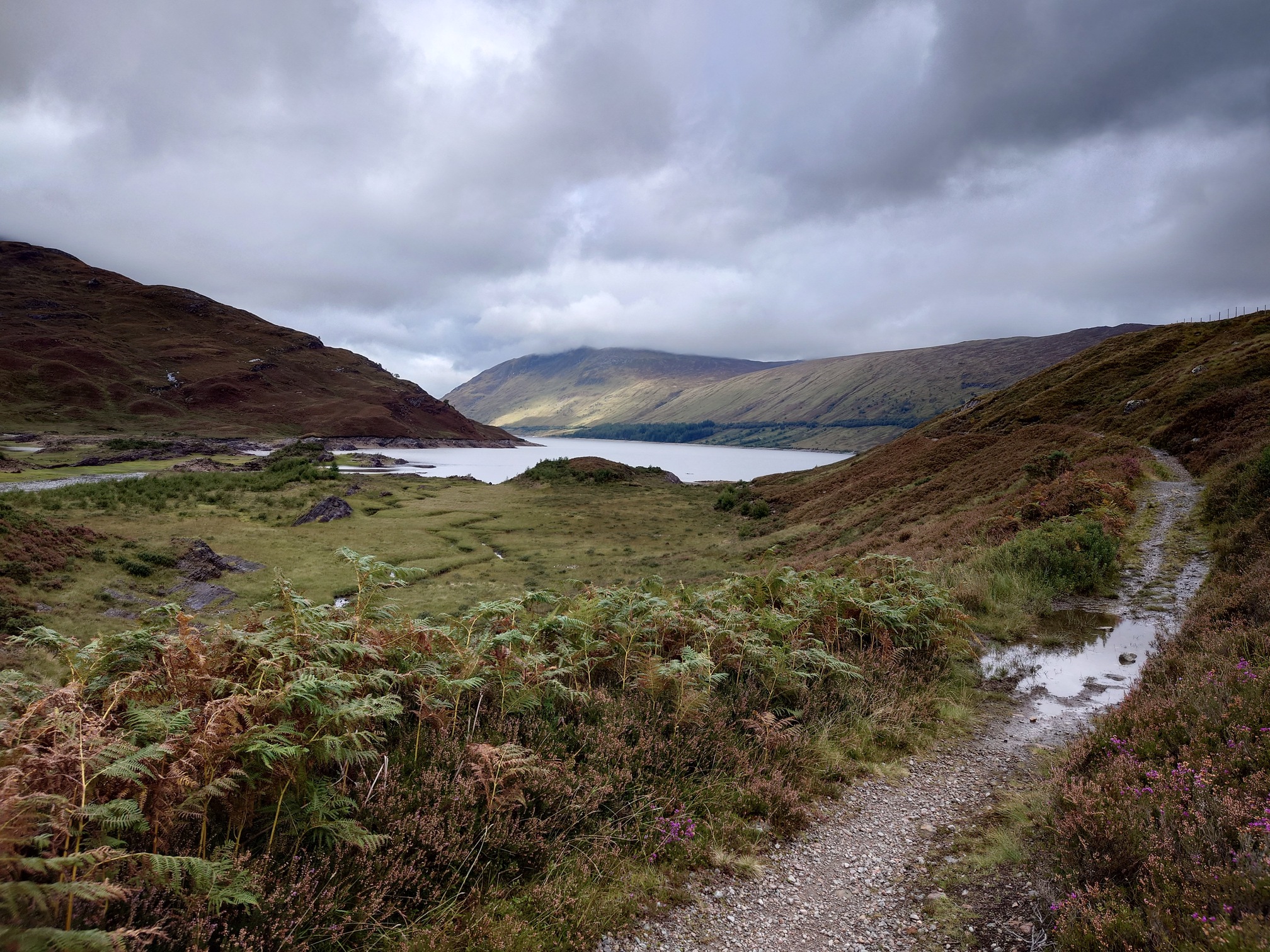 The track, still not as wide as a road, leads off through bracken and heather. Behind are the steep slopes above Loch Trieg