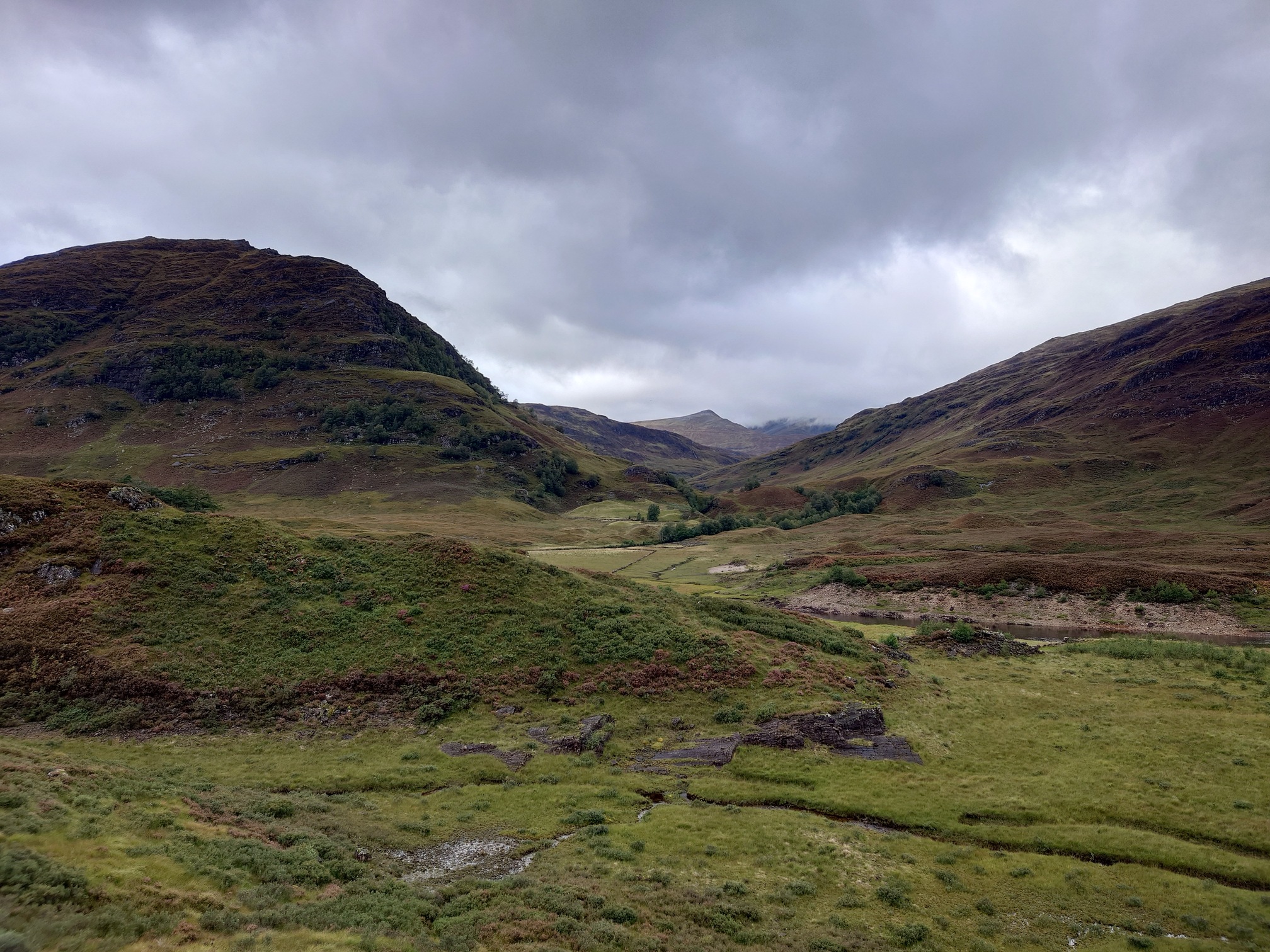 Heathery and rocky hills overlap each other, dotted with trees, as the valley snakes back the way I've just walked. The foreground is green and boggy.