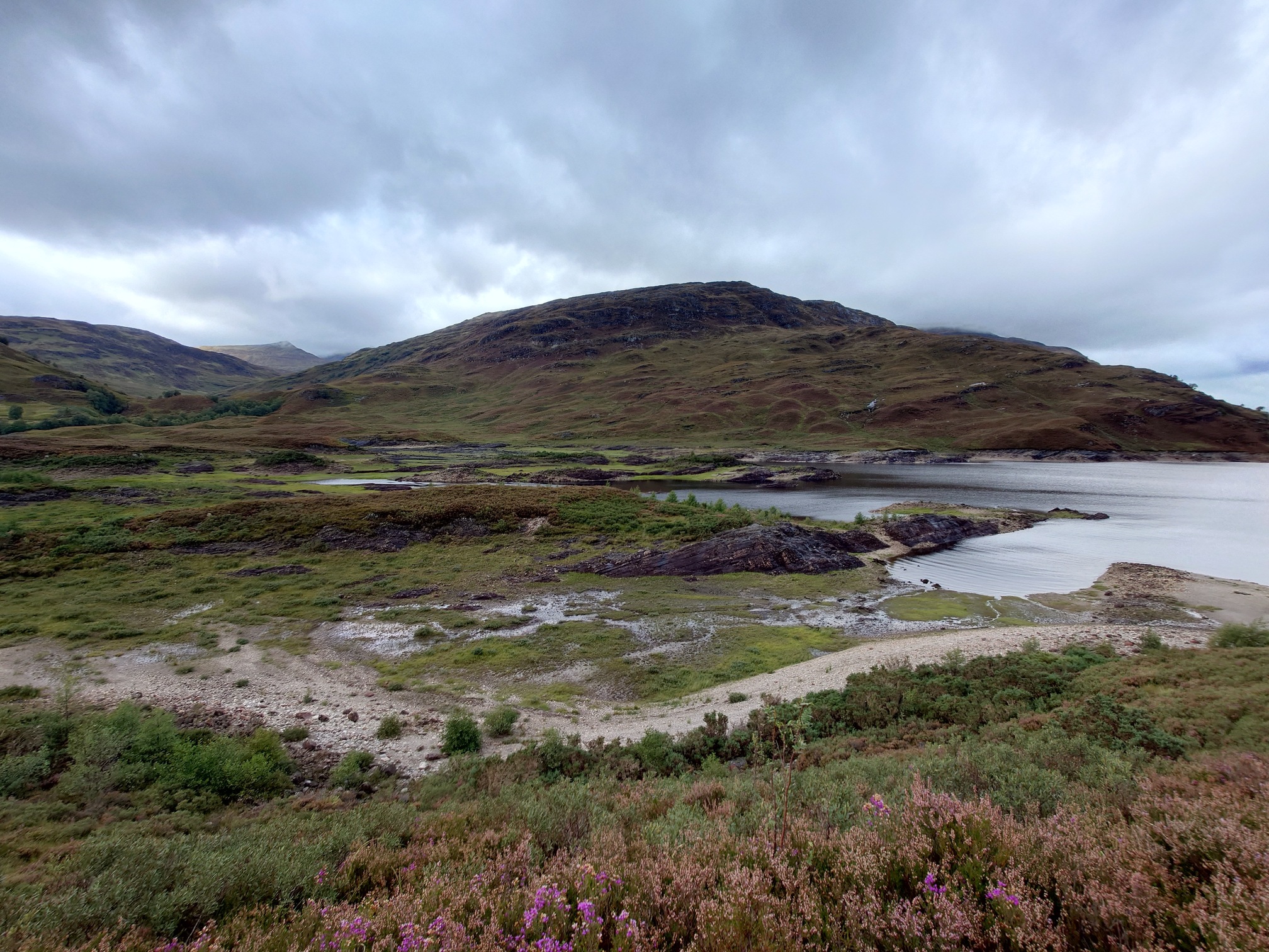 Wet ground around the edge of the loch, with rocky outcrops. In the immediate foreground heather is in purple flowers; behind rises up a small rocky hill 