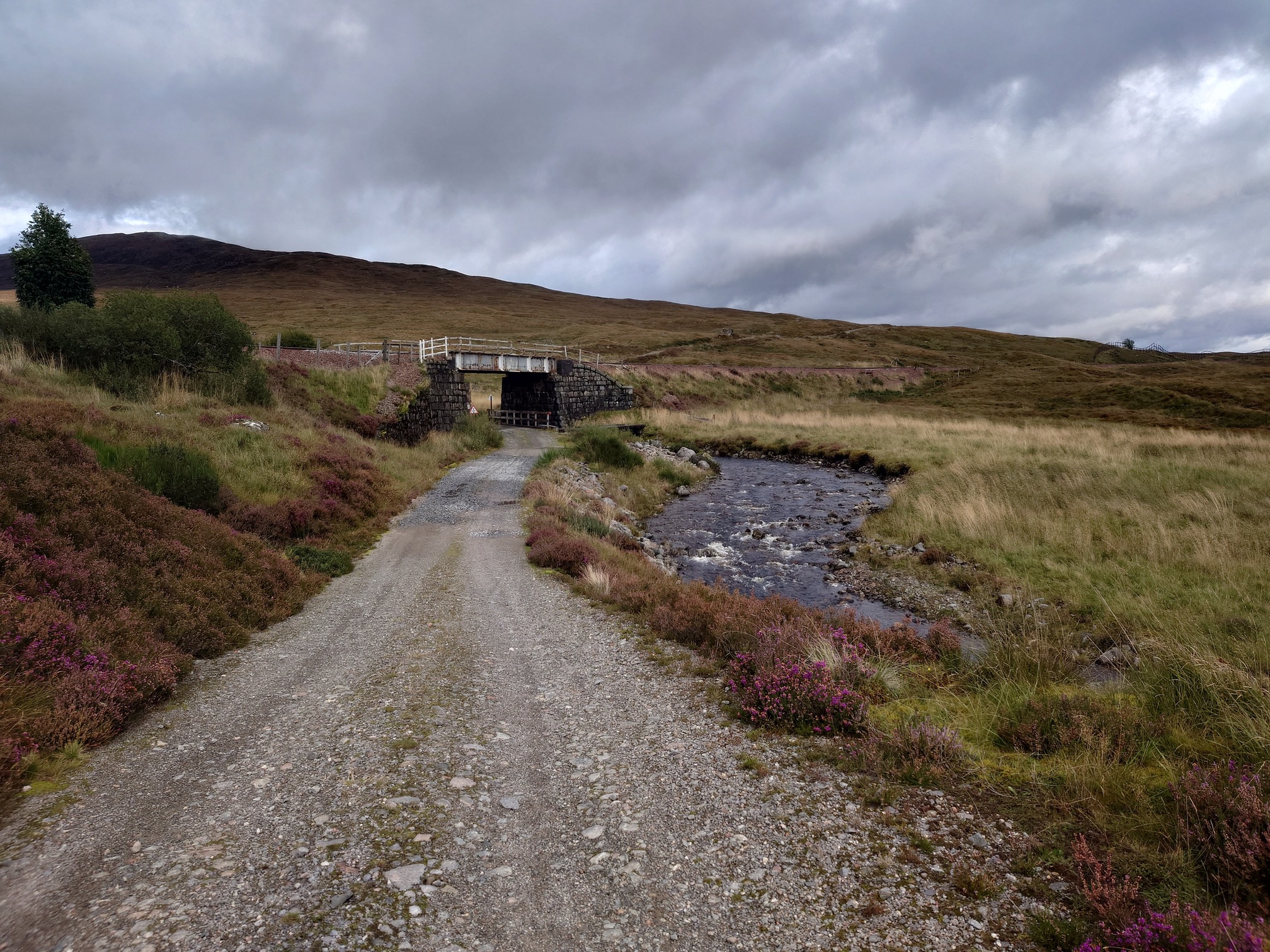 The road carries on alongside a stream. Up ahead, a rail bridge, a metal structure between two stone structures carries the rail line over it. Along the roadside and in the distance, the heather is in flower.