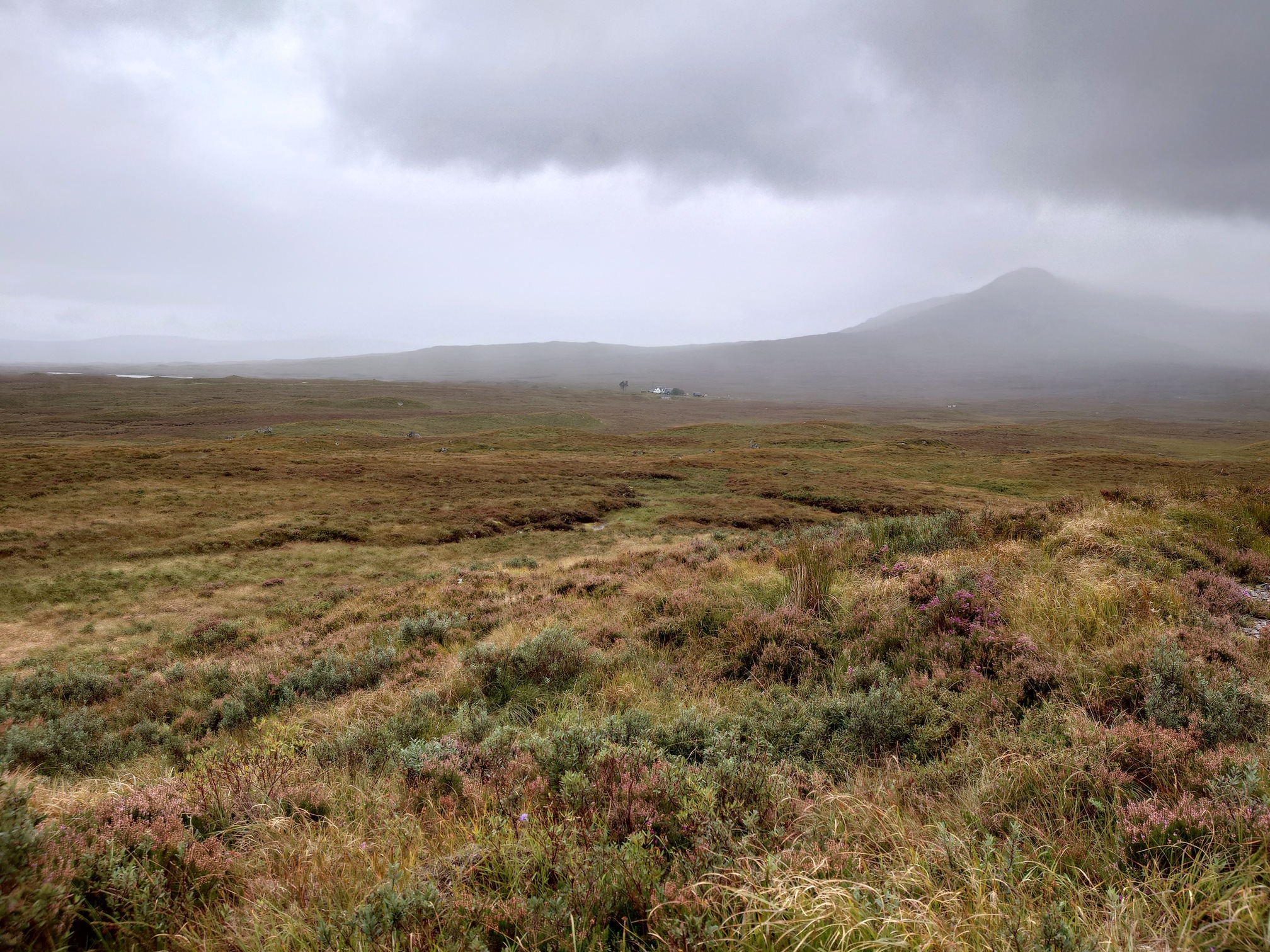 A boggy moorland expanse stretching away, punctuated only by the white dot of the station buildings. Beyond that, a hill rises up and is cloaked in cloud. It's raining.