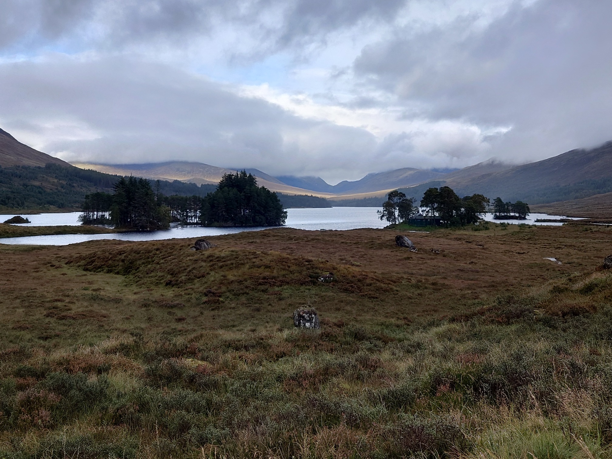 Loch Ossian, a large waterbody. In the foreground before the loch the ground is brown and boggy, dotted with a few rocks. On the edge of the lake are a few pieces of land jutting into the loch, with copses of Scots Pines, in the one on the left of the picture you can just make out a single-storey wooden building, Loch Ossian Youth Hostel. Beyond, the banks of the loch have patches of forestry while mountains rise above and into the cloud. 
