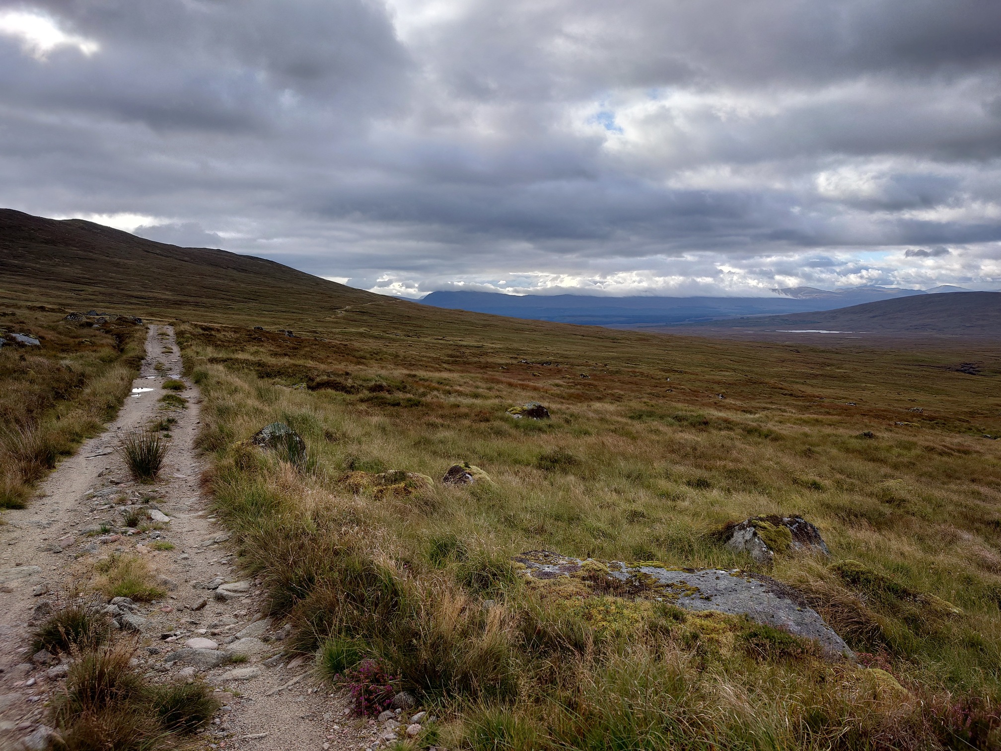 the track, gravel with grass growing up the middle, runs ahead on the left of the picture, the ground sloping gently away to the right, all grass and heather and a few big rocks.