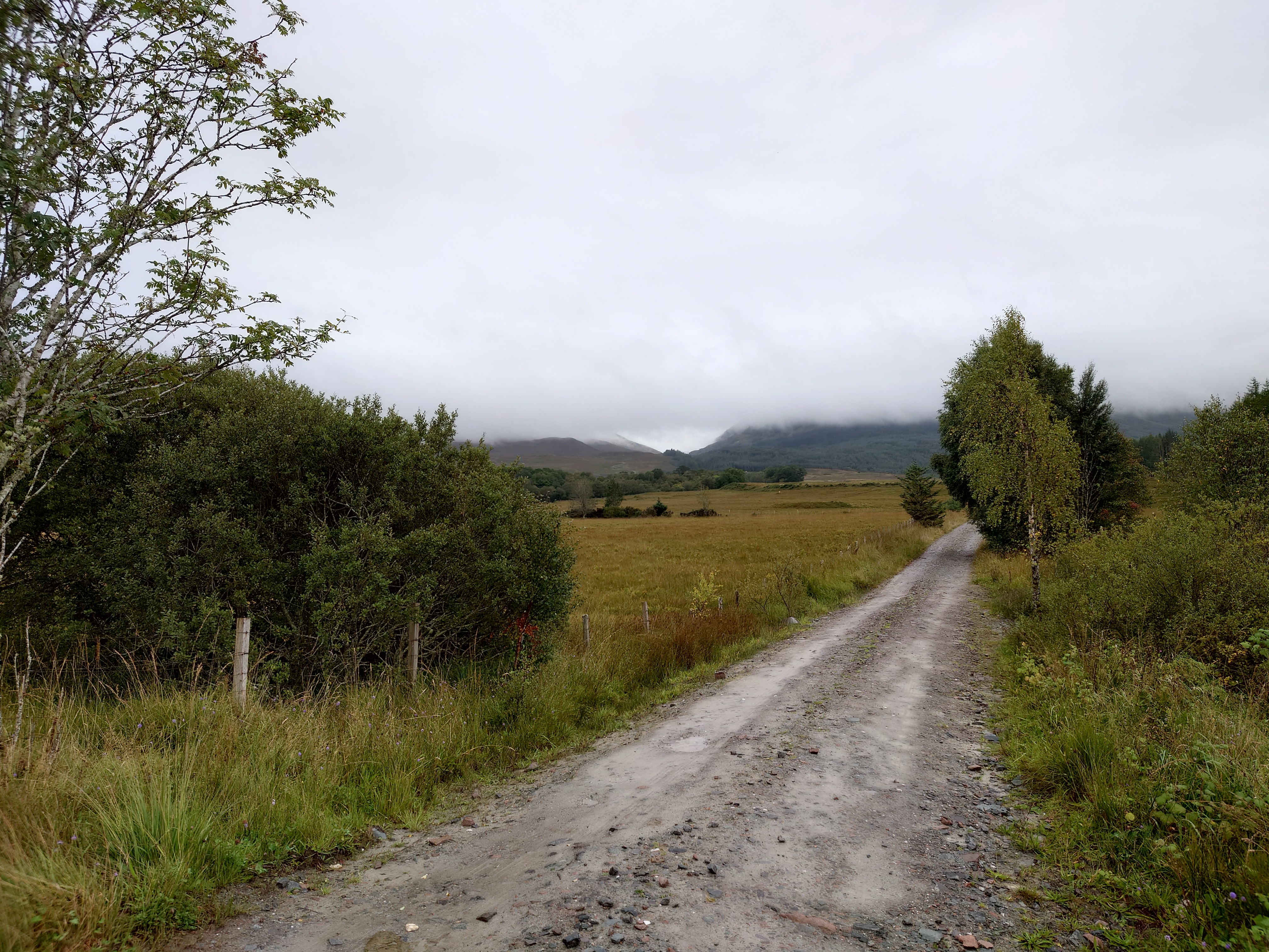 a wet dirt road leads off through scrub and fields towards distant hills clouded by, er, clouds.