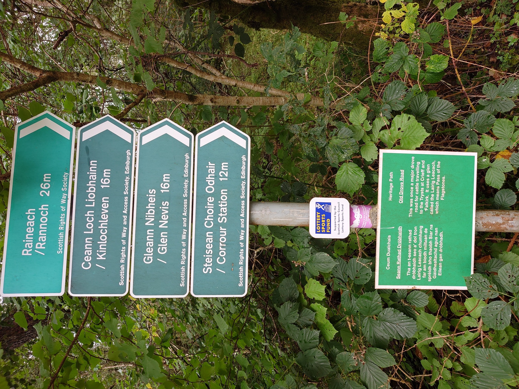 Four Scotways Heritage Signs, green with white text on a metal pole, pointing to: Raineach / Rannoch 26m, Ceann Loch Liobhainn / Kinlochleven 16m, Gleann Nibheis / Glen Nevis 16m, and Steaisean Choire Odhair / Corrour Station 12m. Underneath a square sign has both English and Gaelic "This was once a major drove road for cattle travelling to the Trysts at Crieff and Falkirk. It uses a glen called the Lairig Leachach which means Pass of the Flagstones. 