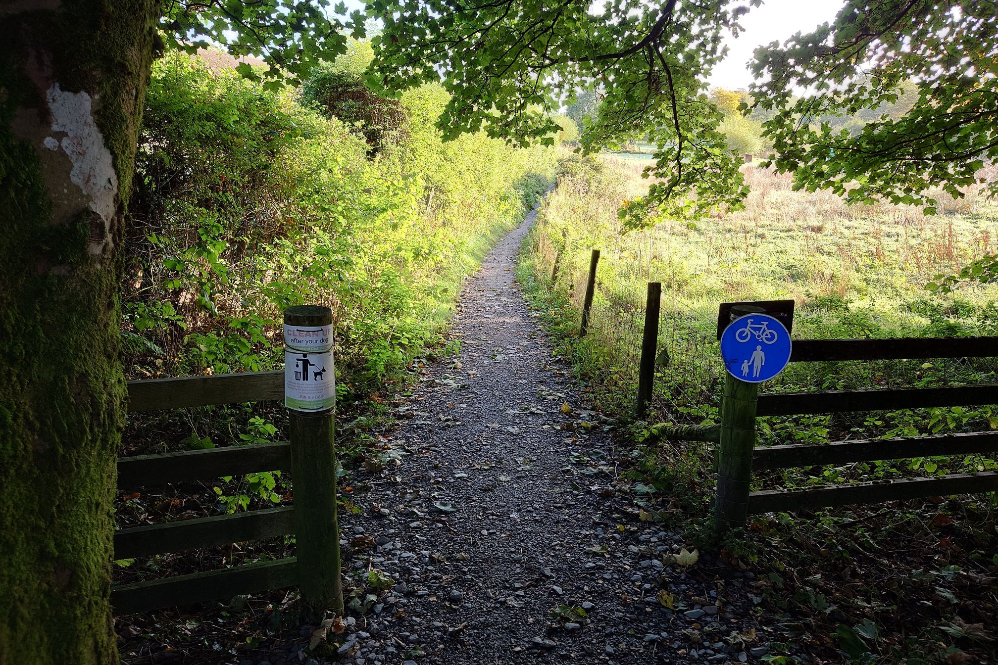 I join the Cumbria Way at a gravel path under some trees, leading off. Signs on wooden posts either side indicate it is a path for walkers and bikes, and to pick up your dog poo