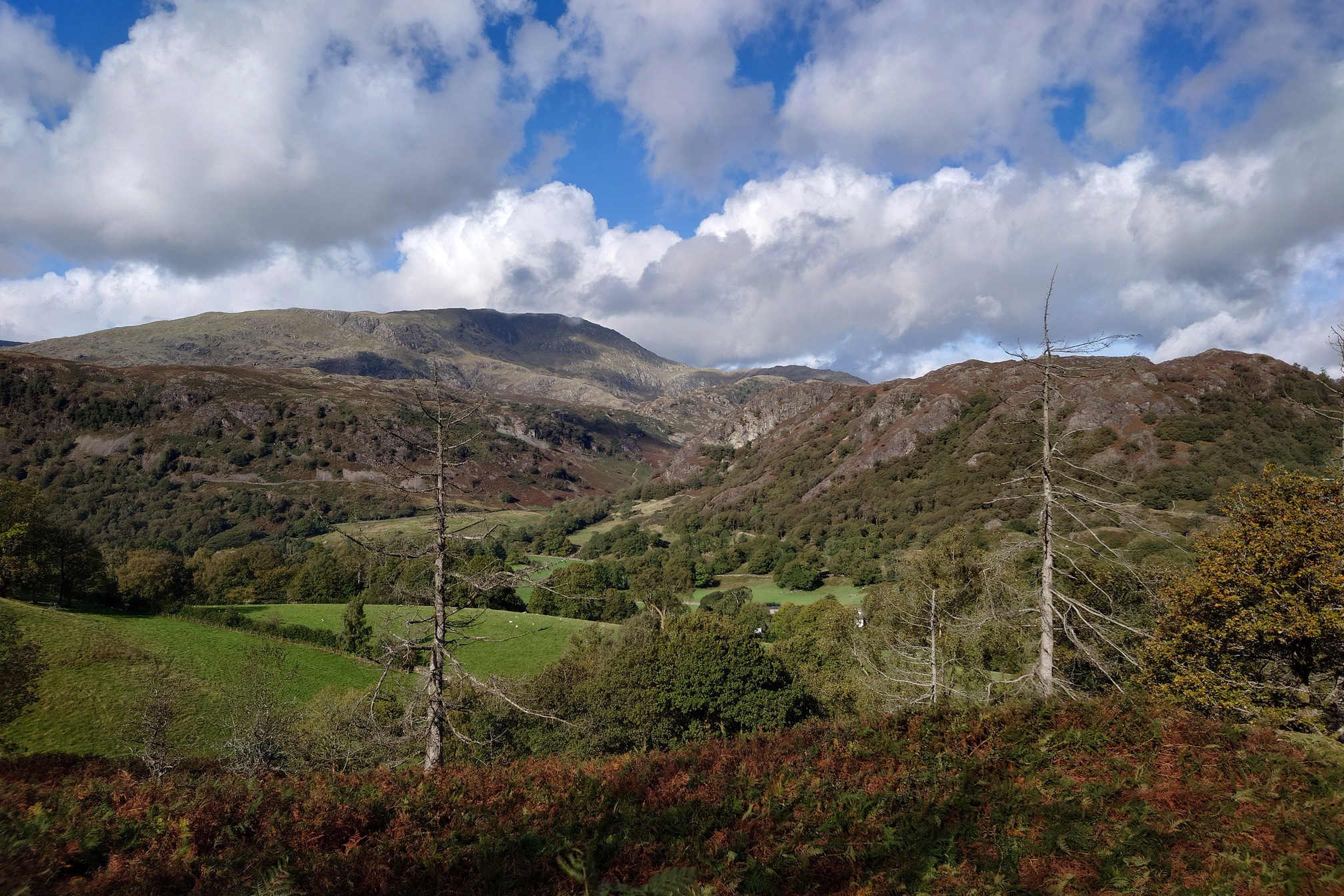 More knobbly hills, this time with the broadleaf woodland climbing high up the slopes.