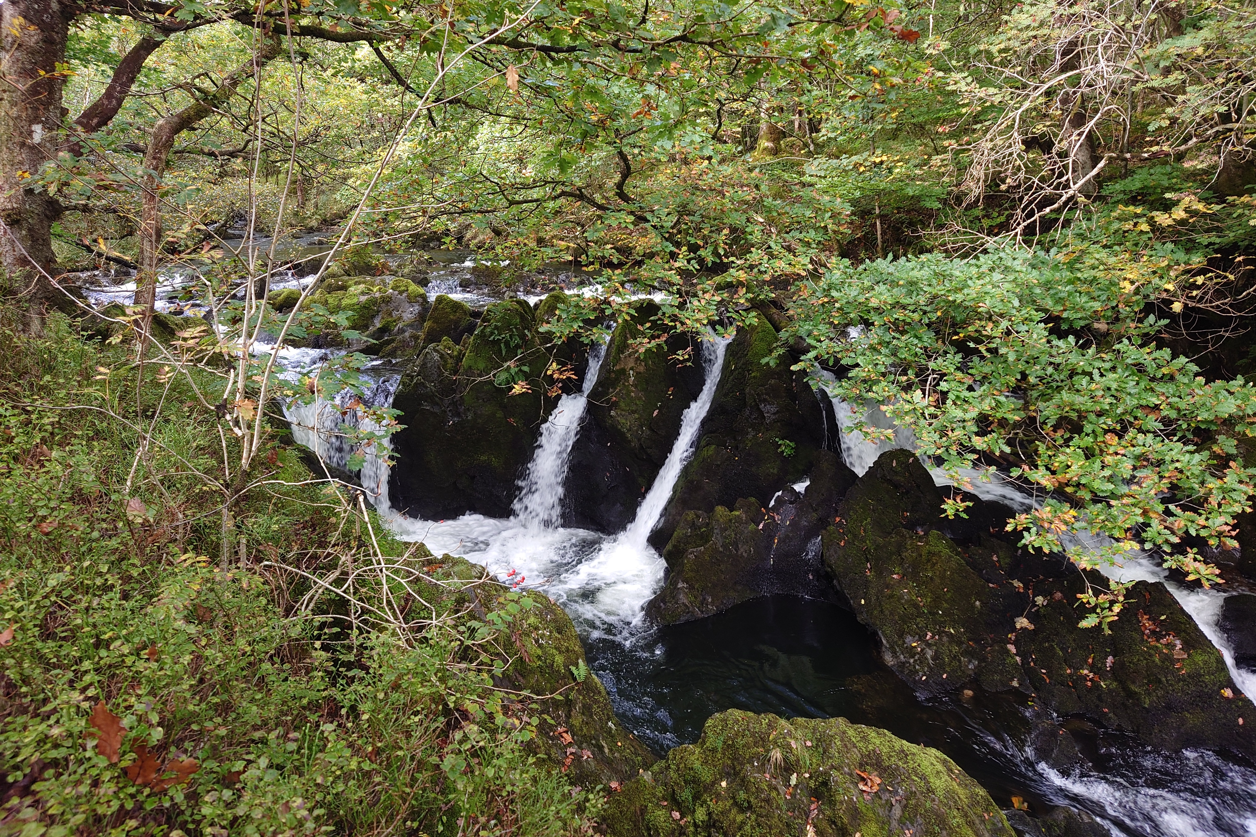 Through the trees in the woodland, a lovely waterfall cascades over dark blocks