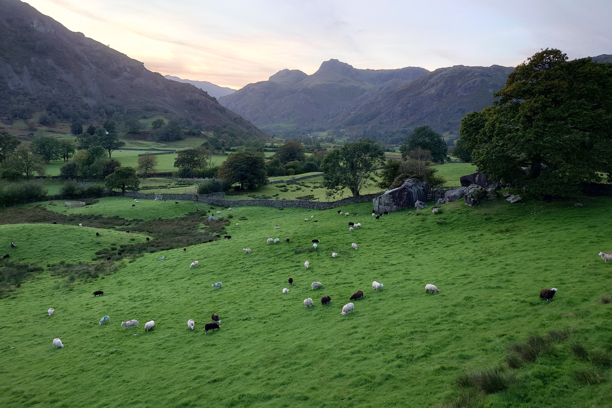 Landgale at dusk, the valley bottom green fields and sheep sprinkled with trees while the knobbly hills rise up