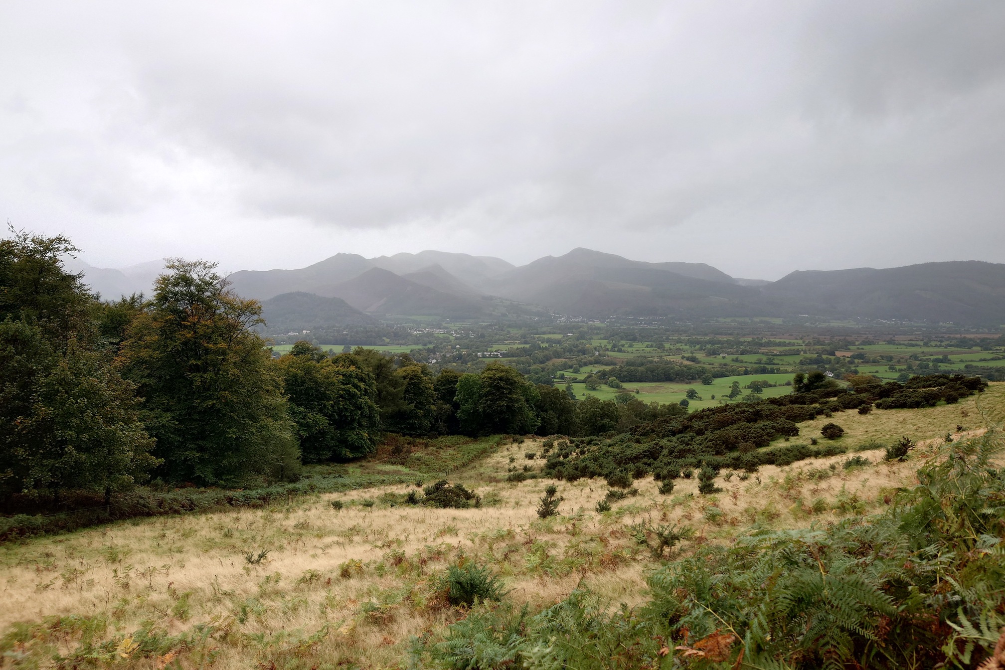Through the drizzle and grey cloud, looking back at Keswick behind trees to the fells on the far horizon