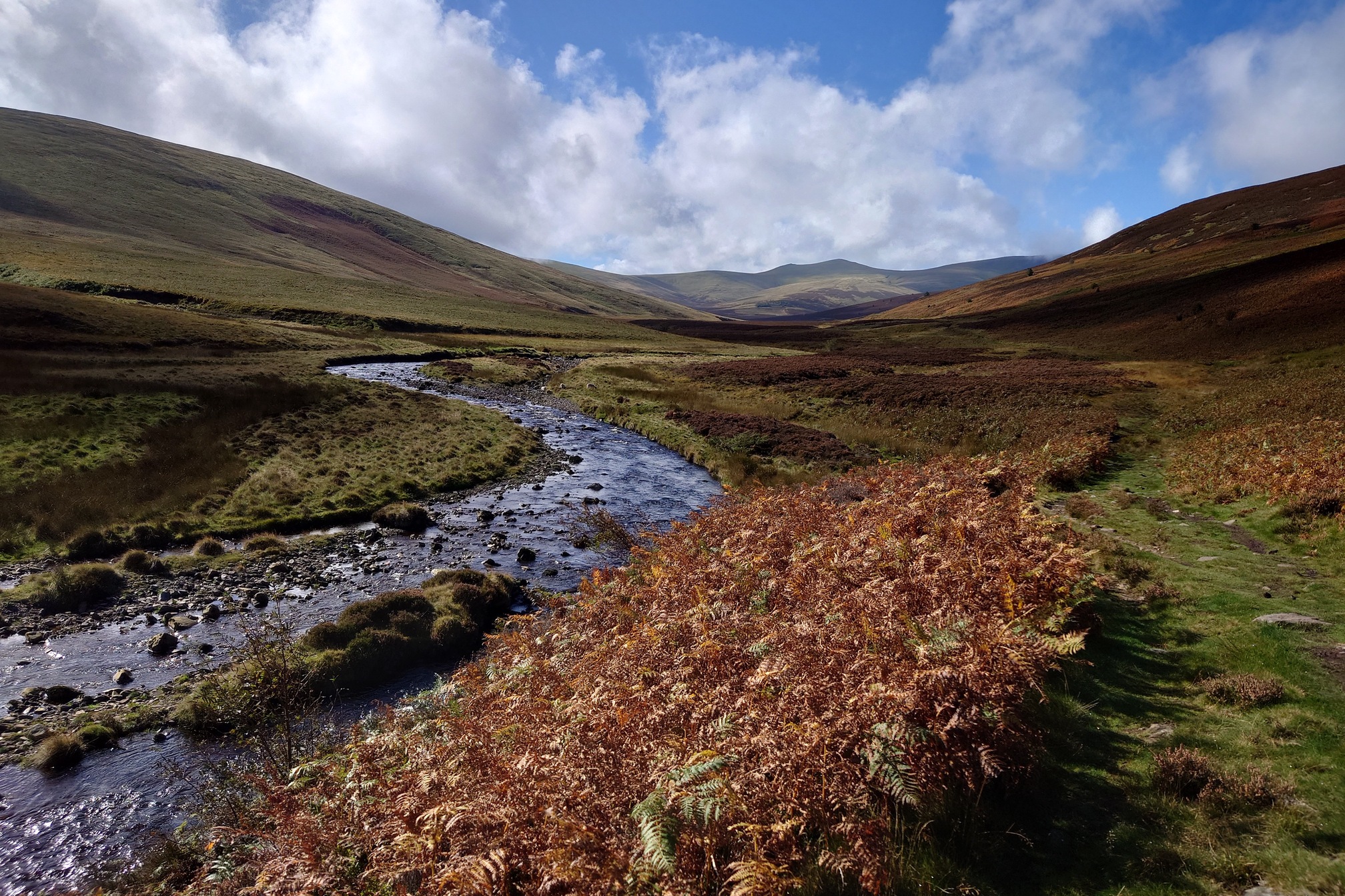 A river rushes past through grassy gentle slopes and patches of bracken. The sky is blue with white clouds.