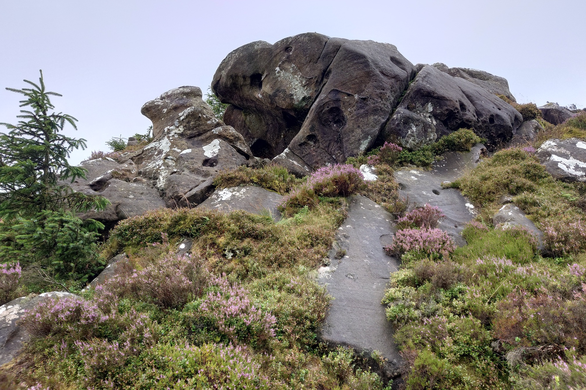 A rocky outcrop of rounded, weathered grey stone emerges from the heather, all wet with the rain