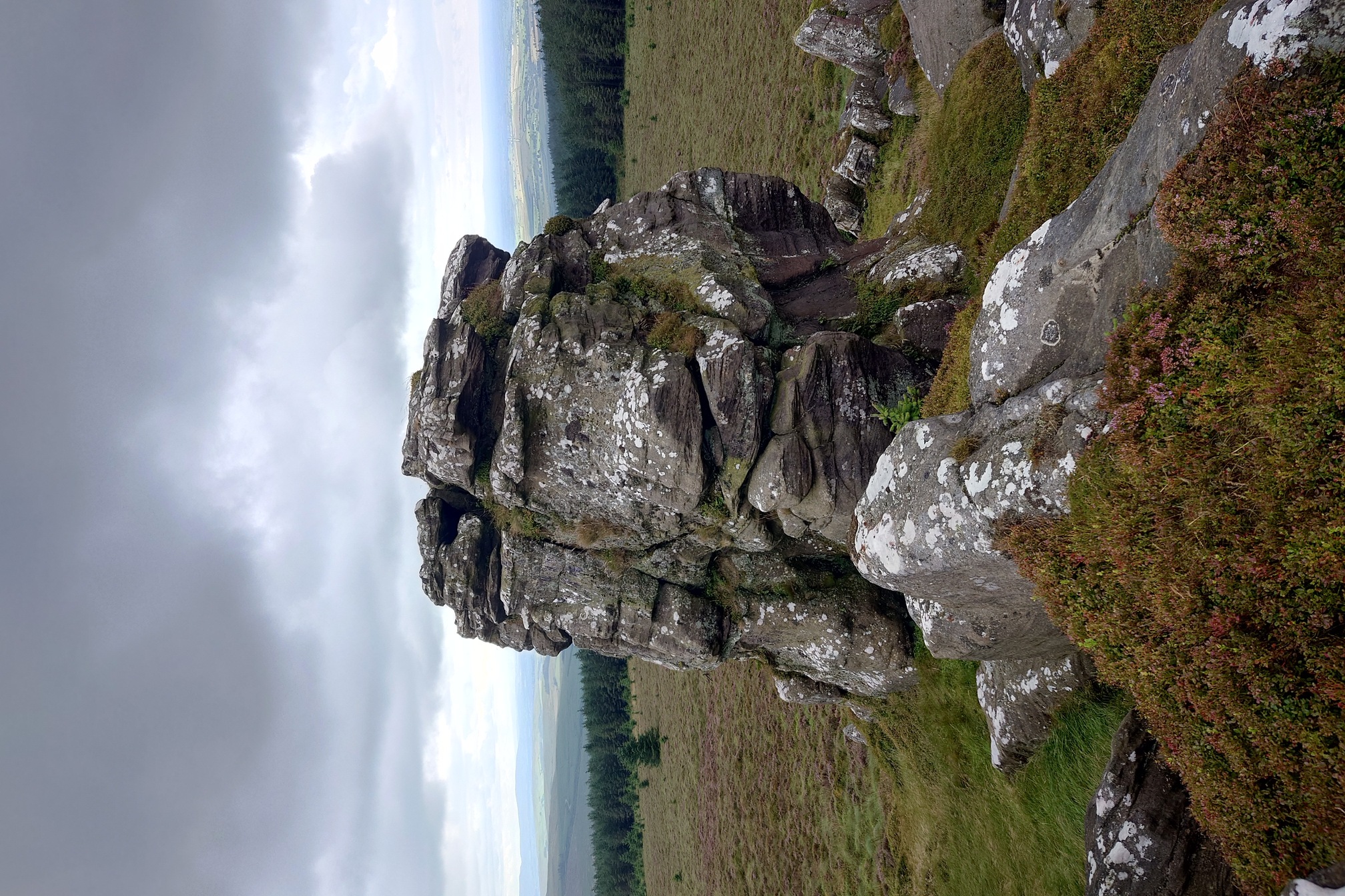 A huge block of stone, grey dappled with white lichen, towers up above the heathery ground