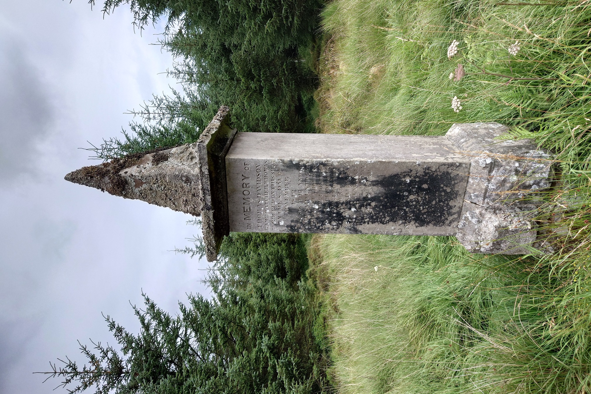 A closer image of the monument. The base is blocky and rough cut, while the main column has text carved on it. The pyramidal hat is very weathered and covered in lichen and moss.