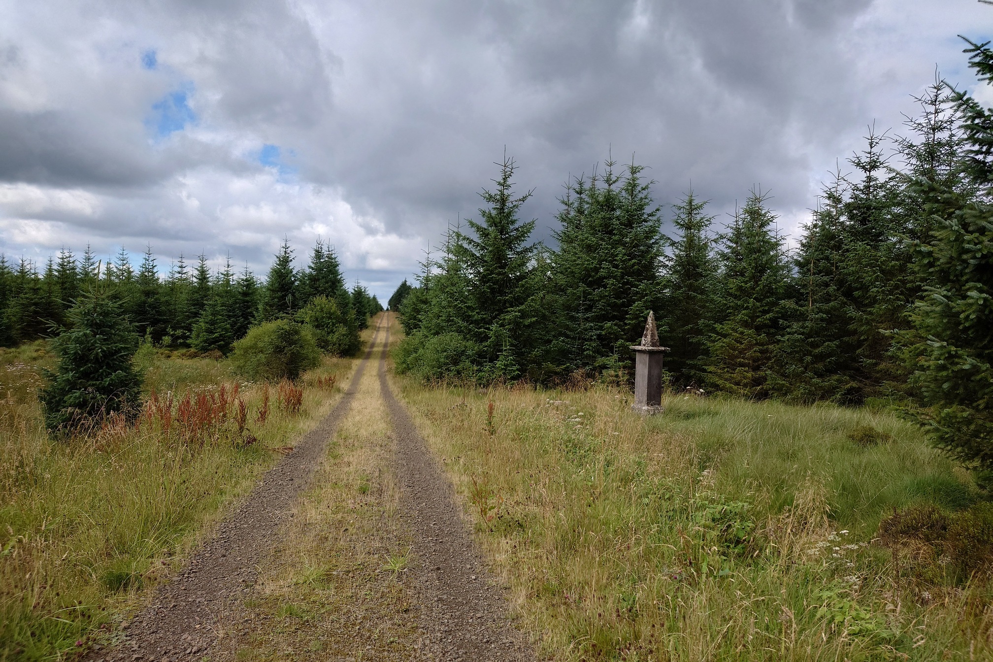 A straight forest track leads away into the distance. A grassy area by the trees to the right holds a grey stone pillar topped with a pyramidal shape. It all looks very lonely and quiet.