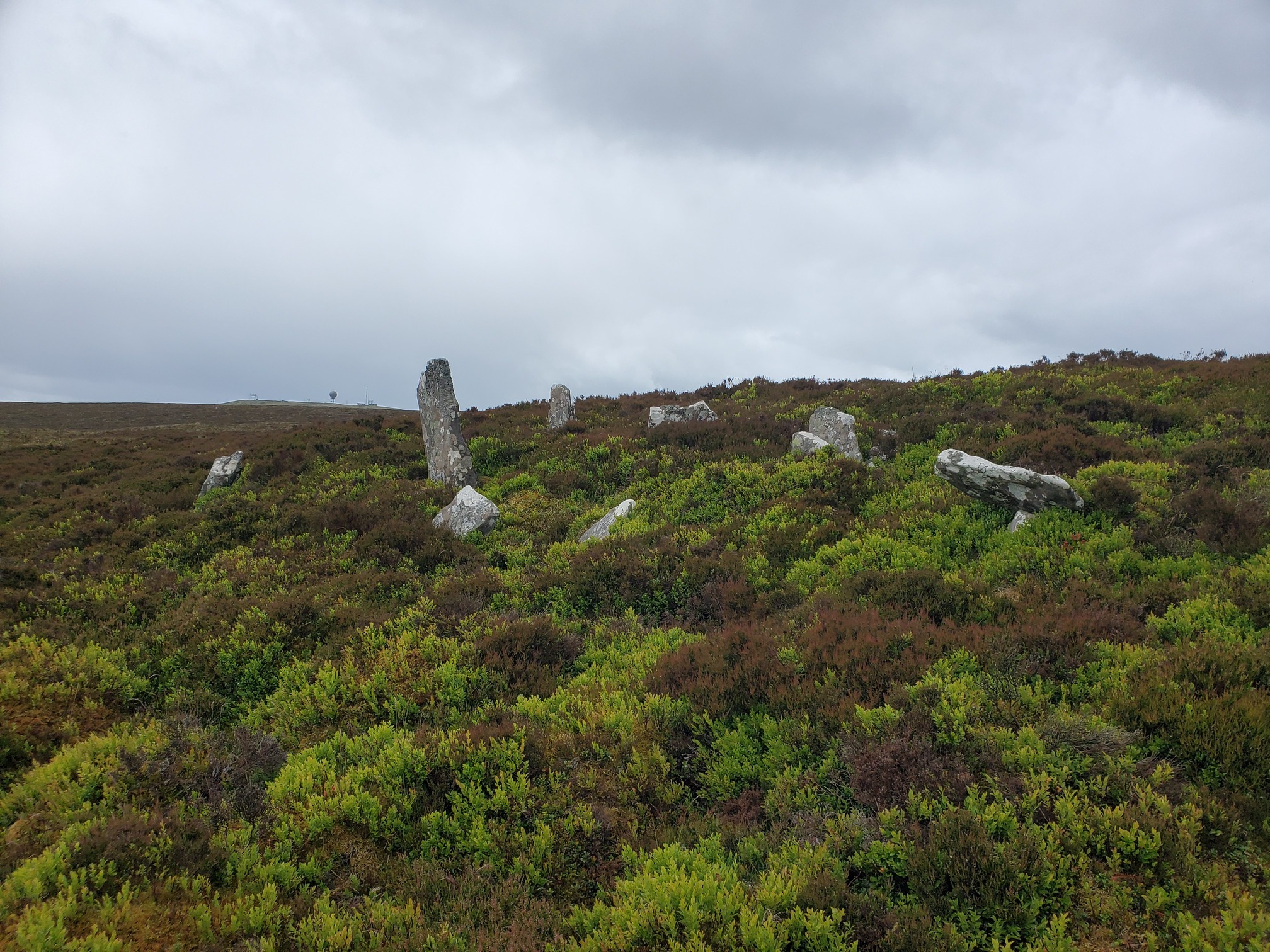 Several sandstone slabs emerge from the deep heather. One of them is particularly tall and gravestone-like.