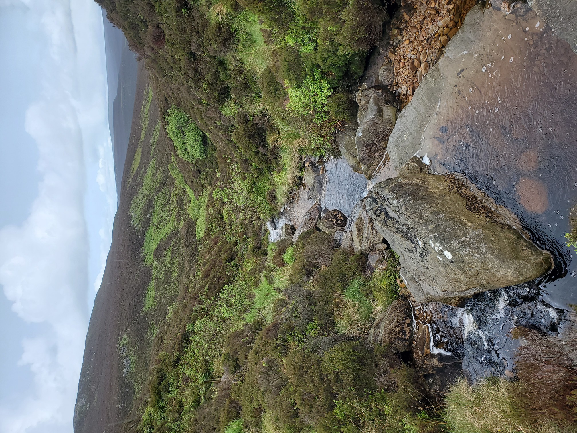 A small stream flows over the rocks and descends down the steep-sided valley, between heather, grasses, plants and the odd small tree.