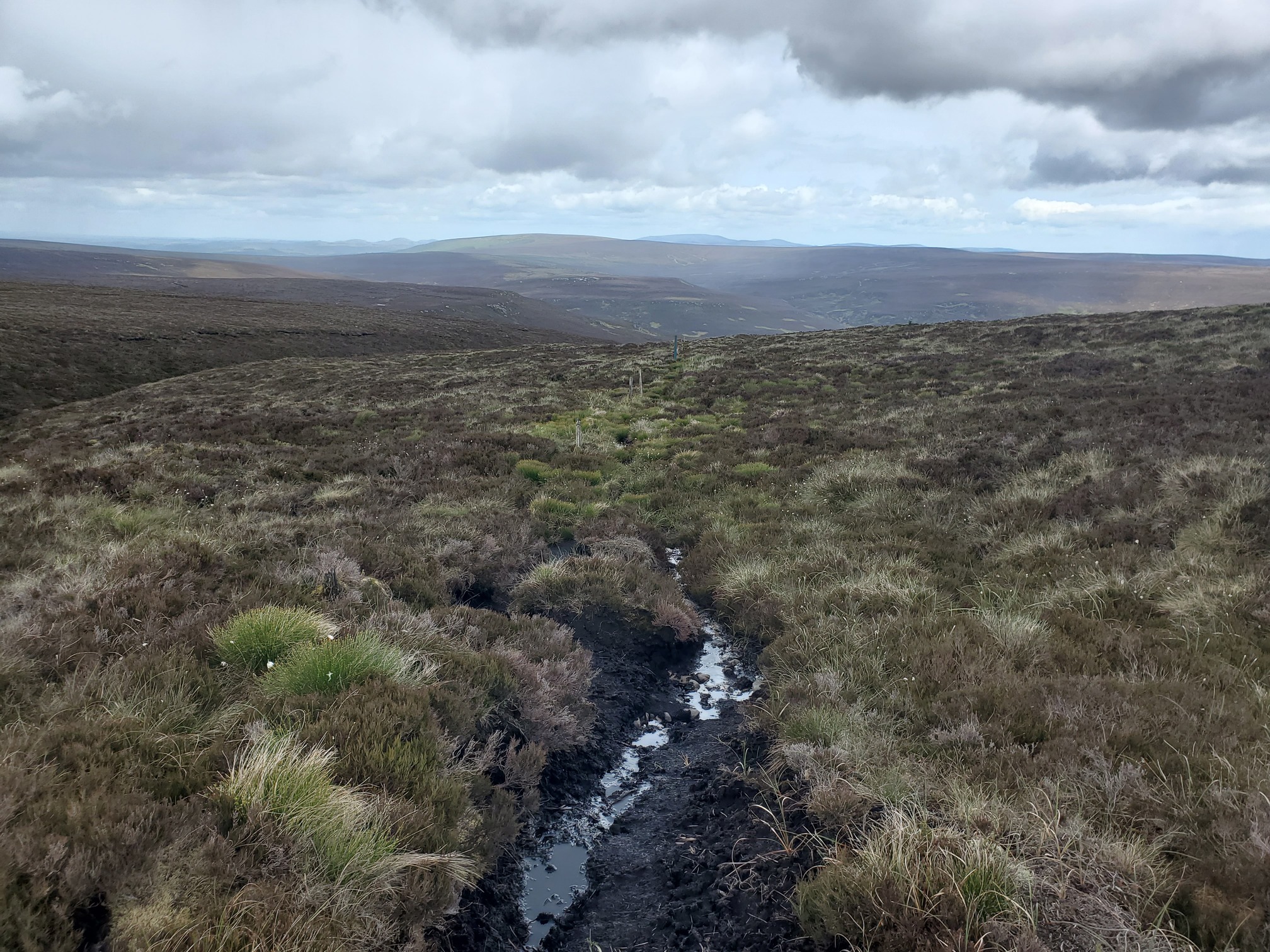 A narrow boggy track follows some old wooden fenceposts across an expanse of moorland. In the very far distant horizon, the shape of the Cheviot can be see.