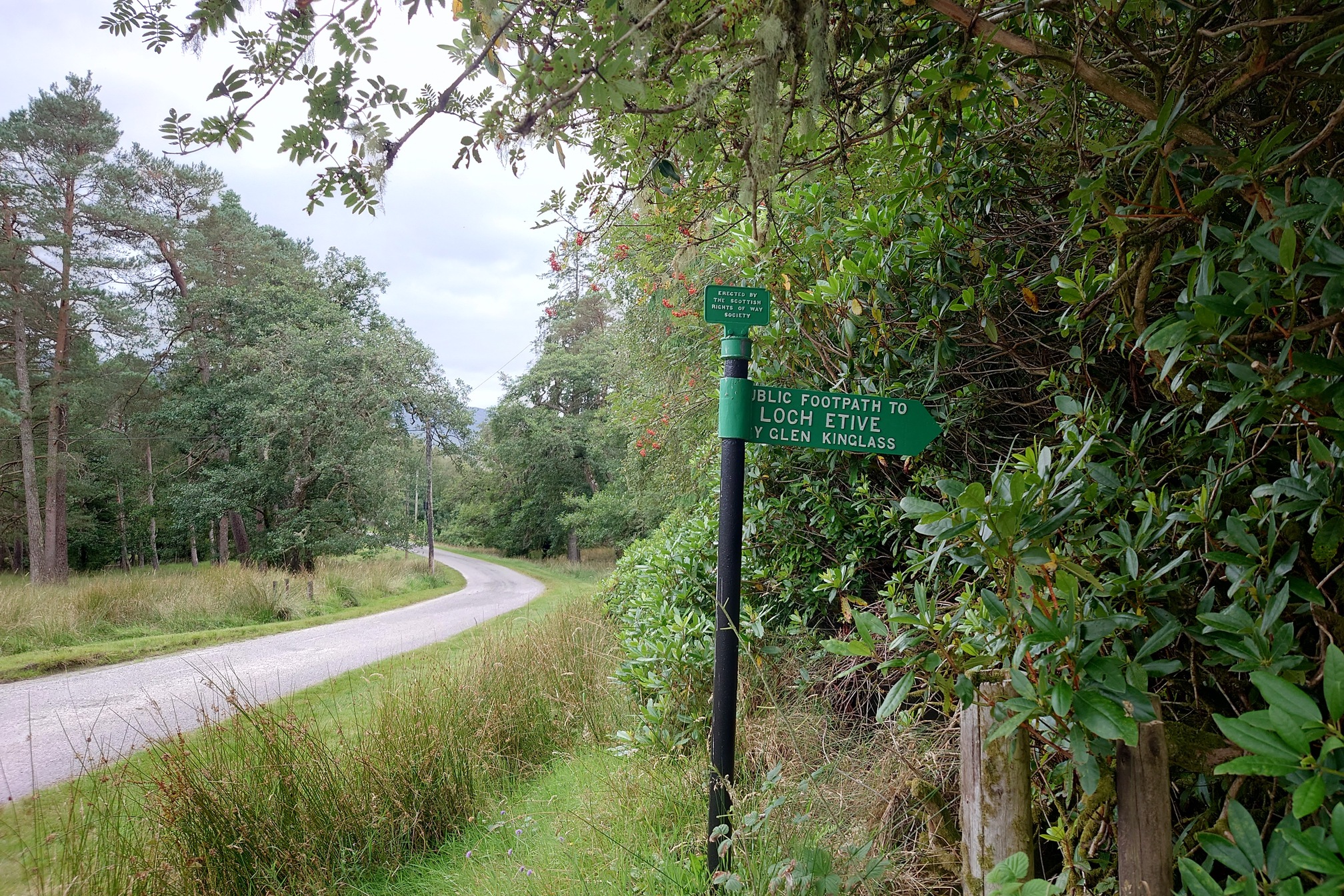 A green directional sign on a black metal pole at the roadside. It reads Public Footpath to LOCH ETIVE by Glen Kinglass, and on top is a smaller square sign Erected by The Scottish Rights Of Way Society