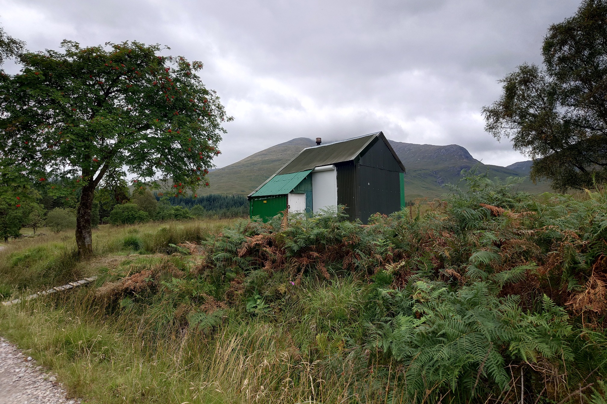 A Green metal hut with white doors and shutters stands a little off the track, surrounded by bracken and near a few broadleaf trees. Hills rise up behind in the distance.