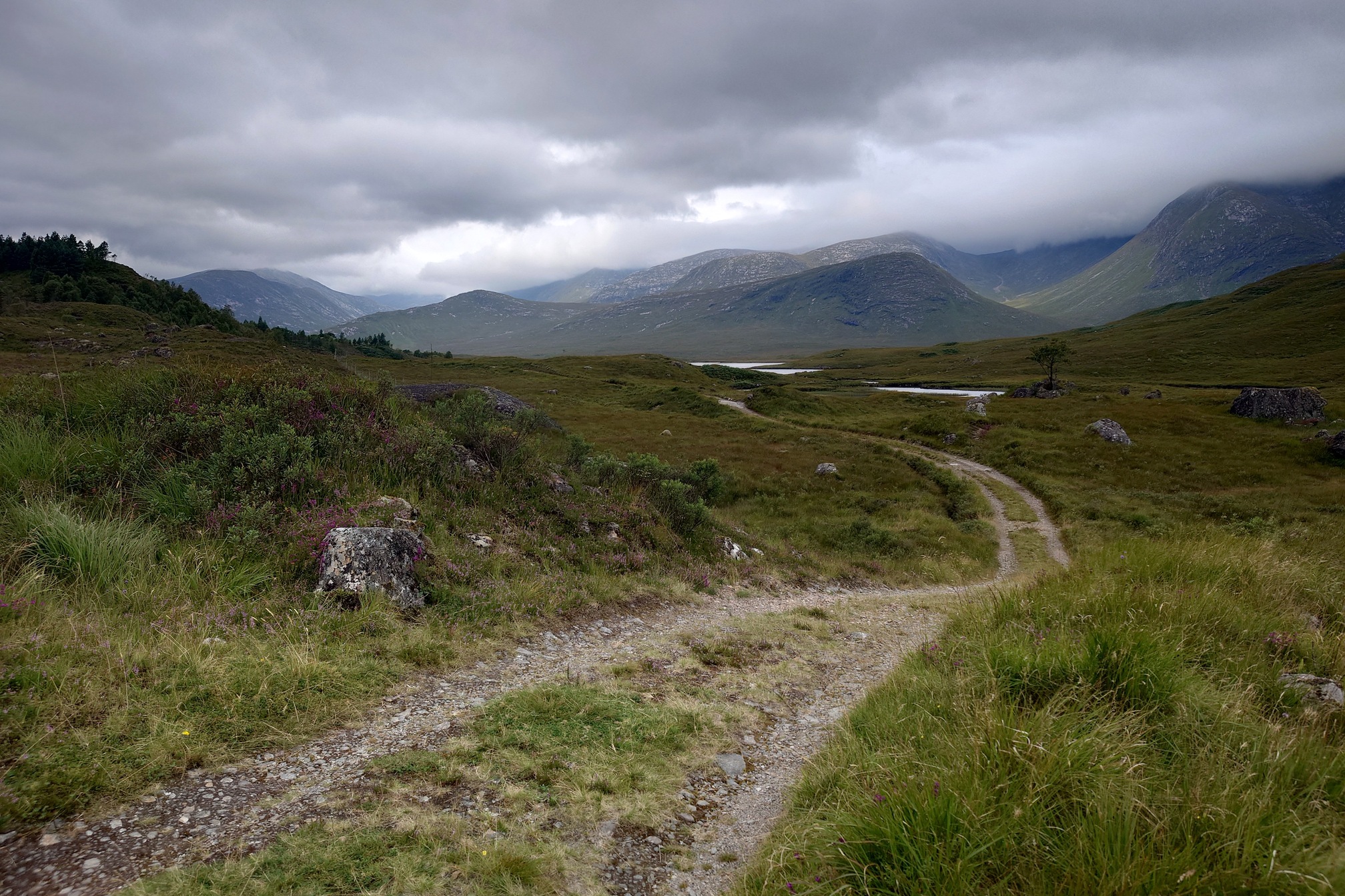 The gravel track, grassy now in the middle, curves down a bit and away towards a waterbody. Mountains behind it reach up into the cloud.