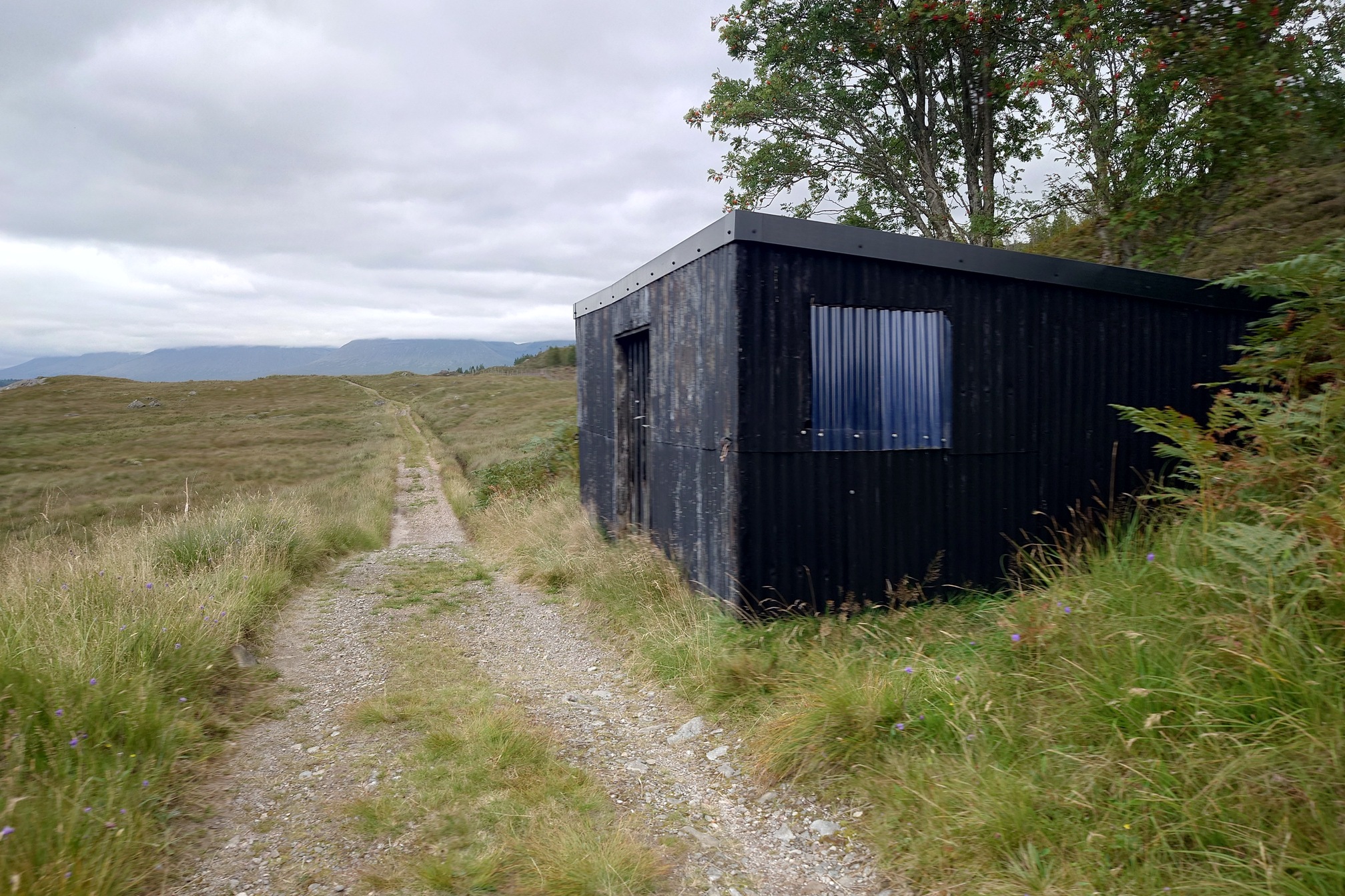 A small dark green, boxy building made of corrugated metal with a corrugated plastic sheet for a window, sat right next to the track next to some trees