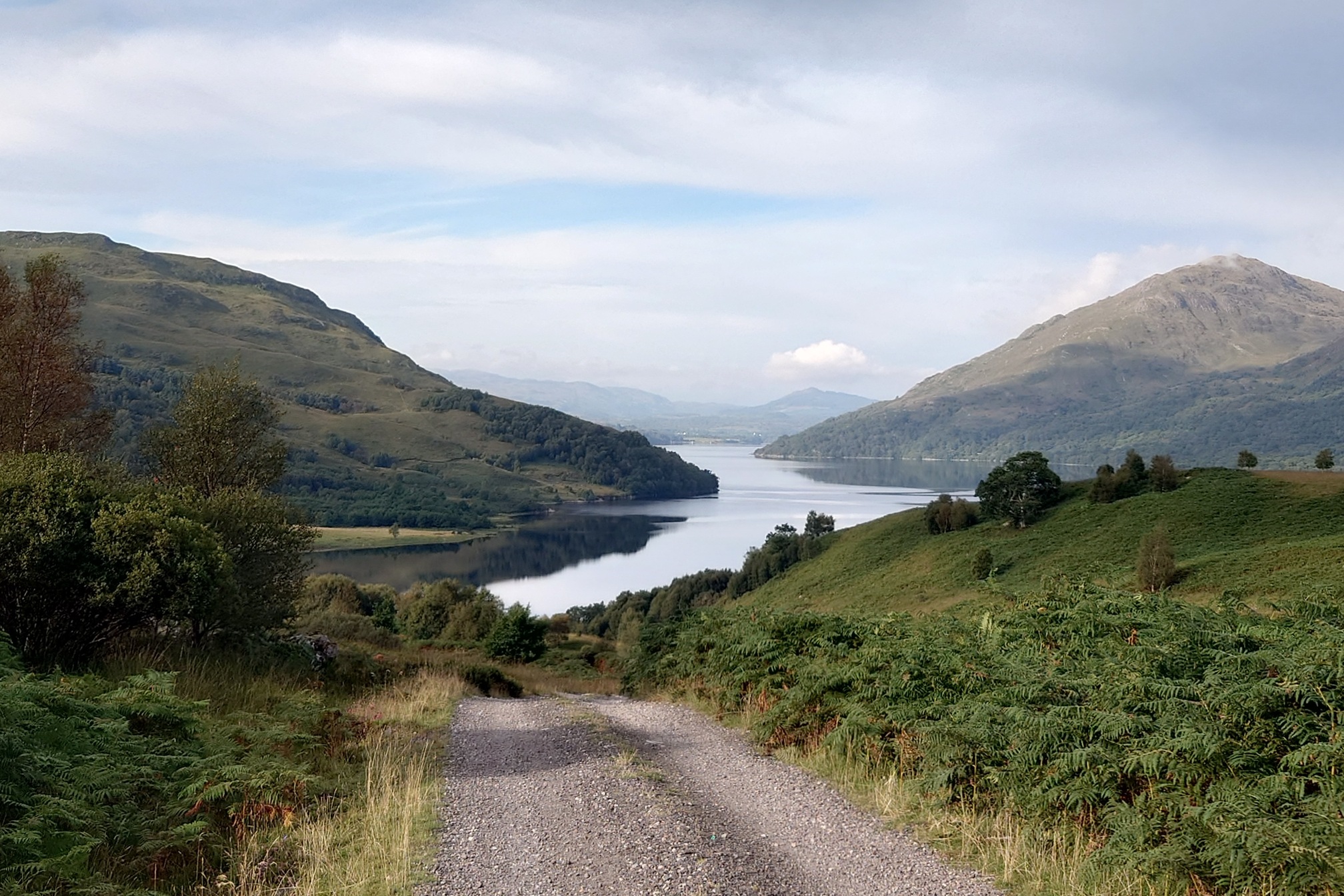 Looking down the loch, which zizags between grassy hills with patches of forest