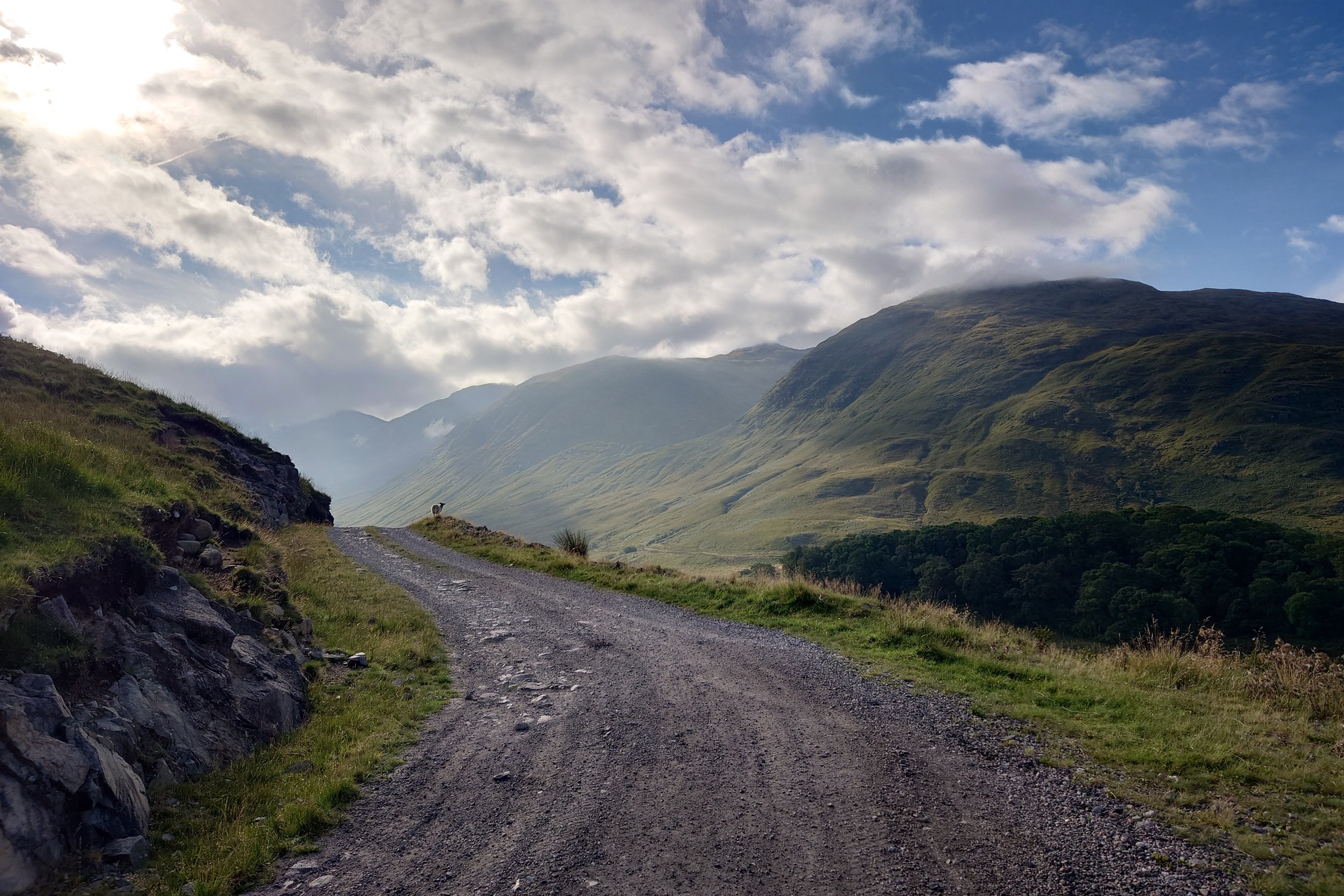 The road curves to pass round the valley of River Noe. The steep-sided slopes of teh valley are hazy in the morning sun, and ahead on the track a sheep turns to look at me