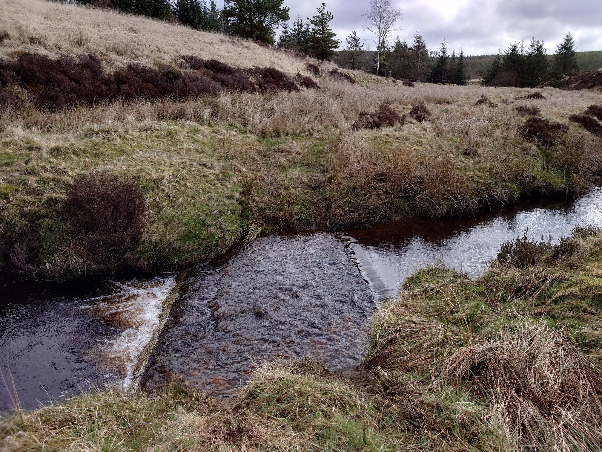 the burn running through grassy banks, it ripples over a ford