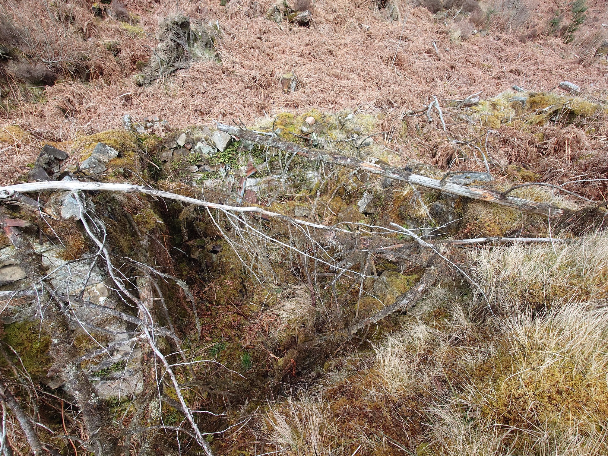 A stone structure, all very mossy and overgrown, surrounded by dead wood and bracken