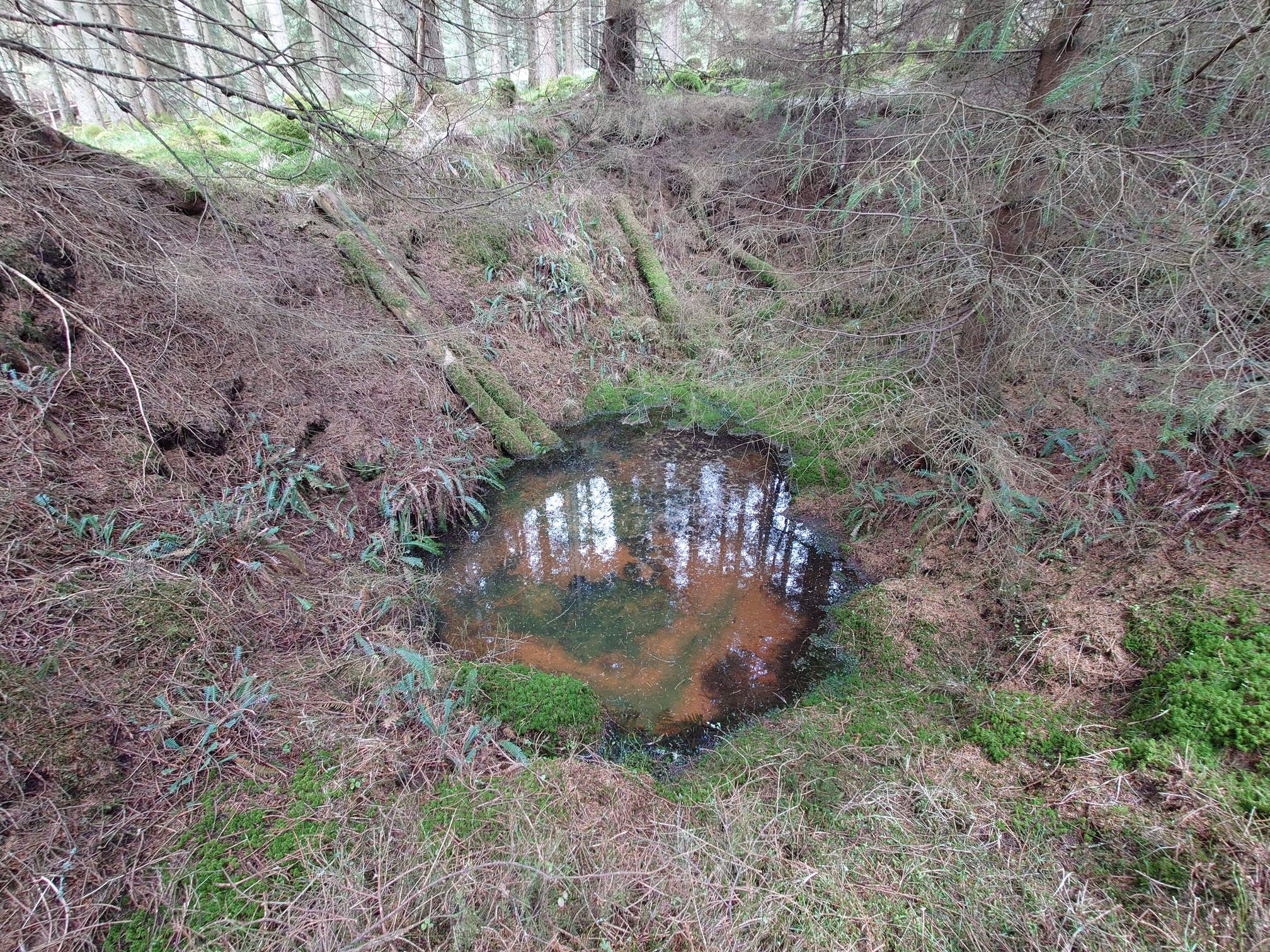 A circular pool of water - an old air shaft - is full of water.
