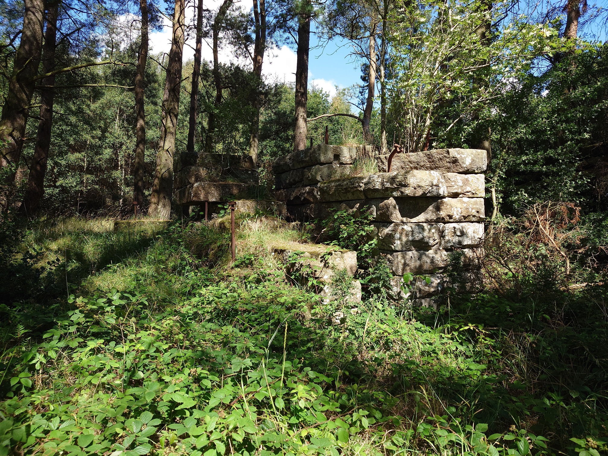 In a sunny woodland clearing, a few structures made of large stone blocks. They are no taller than 1.8m, and it's not clear what they were.