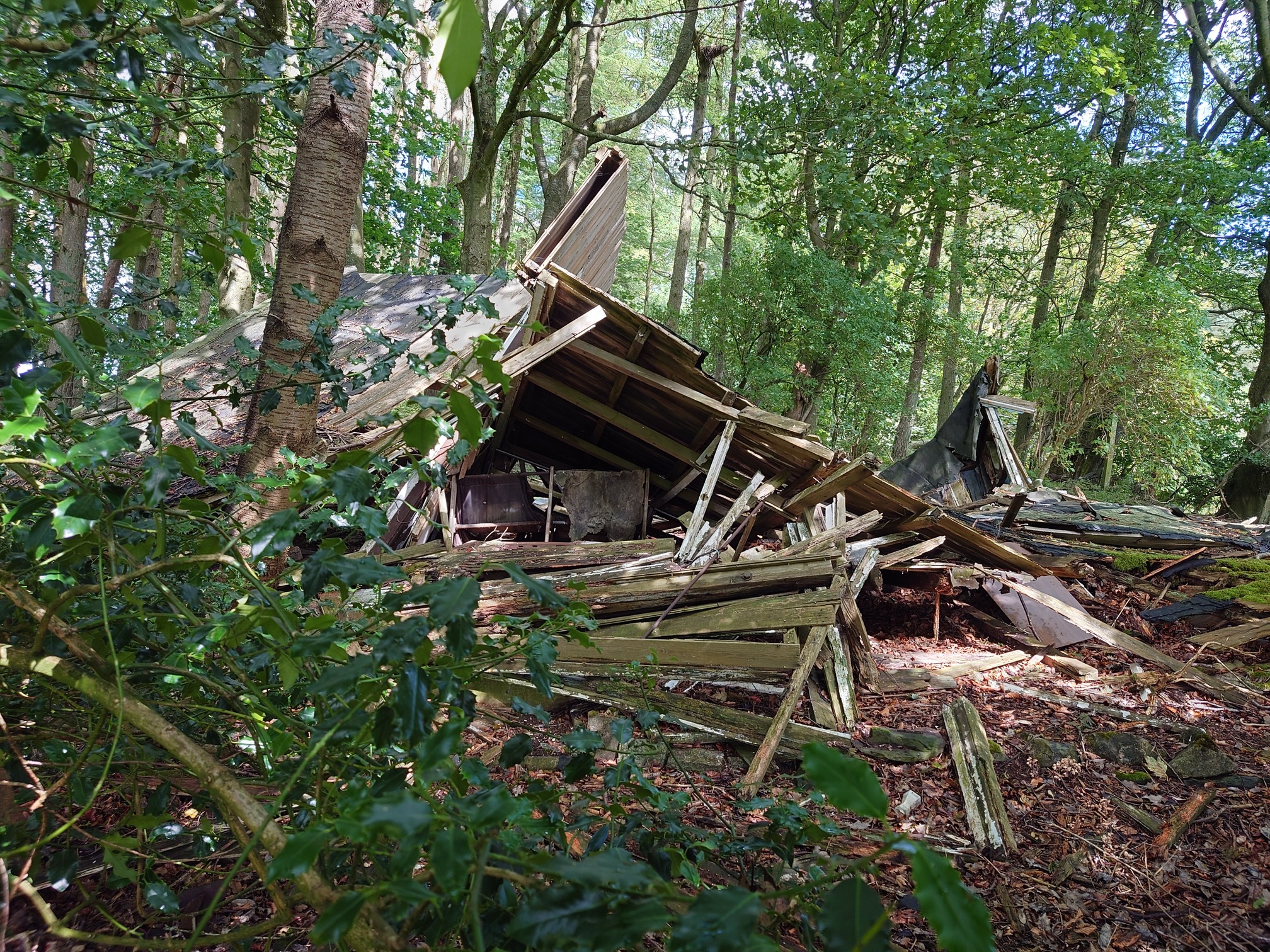 in a sun-dappled copse, a big pile of wooden ruins