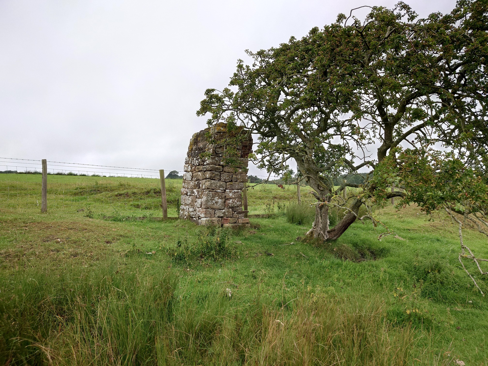 Next to a spindly tree, on the grassy embankment slope above the trackbed, is a single stone built column that was presumably once part of a railway structure, but it's impossible to tell what it was
