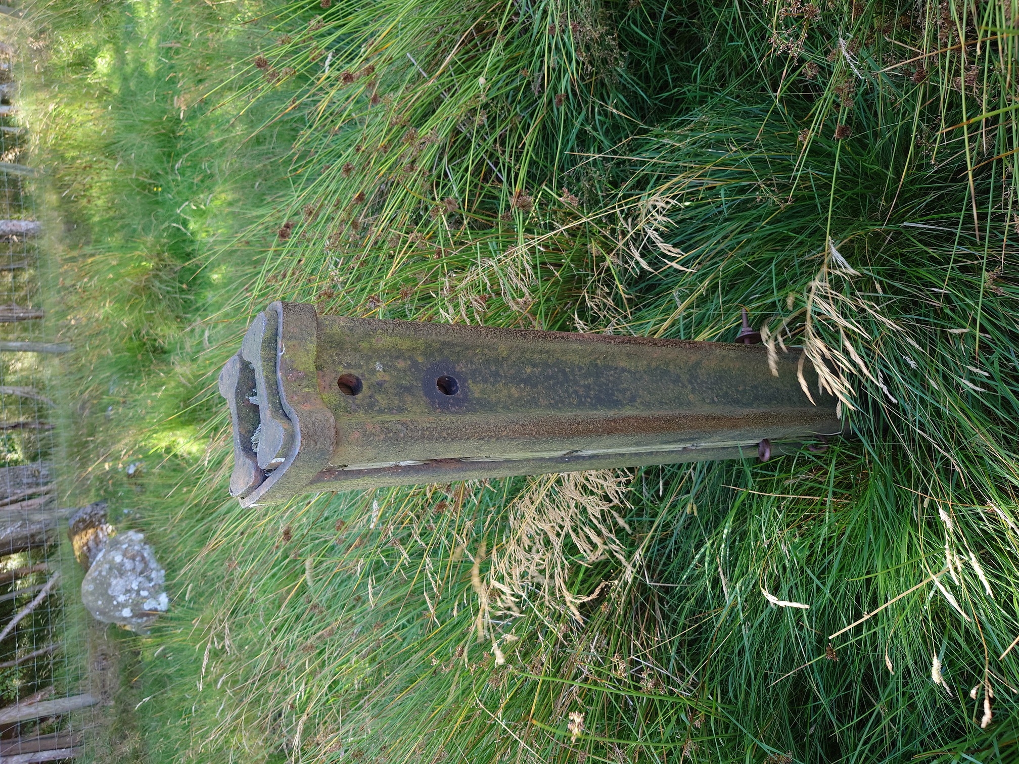 A metal post emerges from dence grass. It is made of two railway tracks bolted together.
