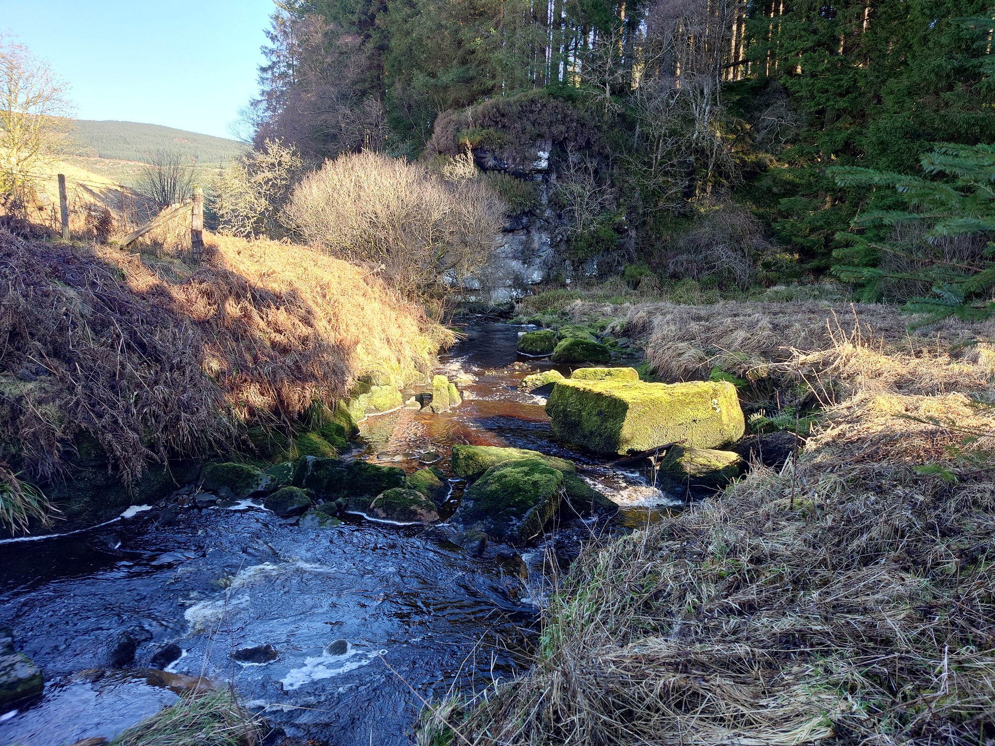 The wider river flows over large stone blocks. The banks are covered in grass and dead bracken, and further we can see a rocky outcrop with plantation trees on top.