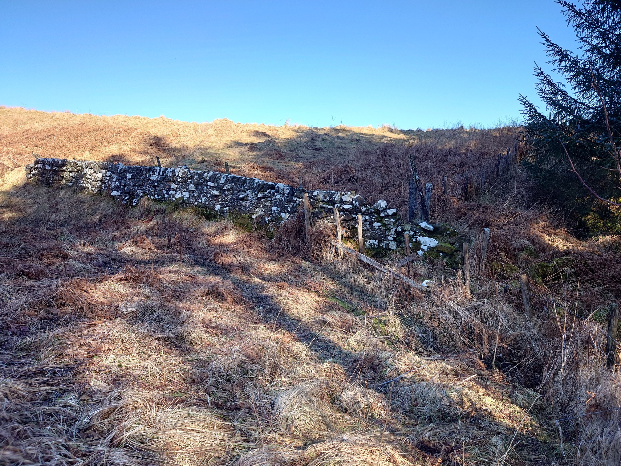 An old dry stone wall meets the fence to my right, with another rickety fence heading ahead of me. The border follows the line of the stone wall.