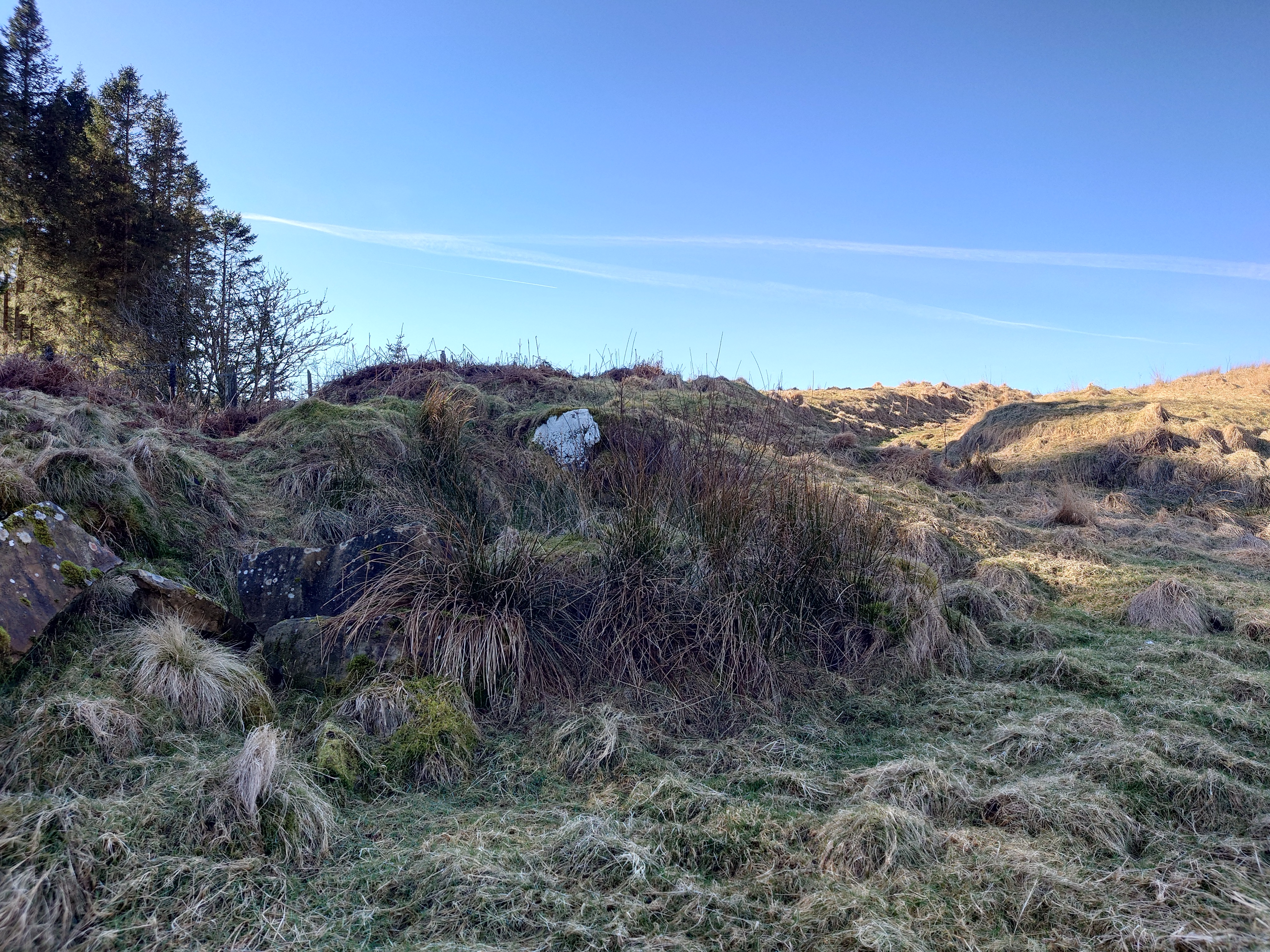 A pile of large stones covered in grass and rushes. To the right of them, you can sort of make out a hollow way curving right and heading up the hill.