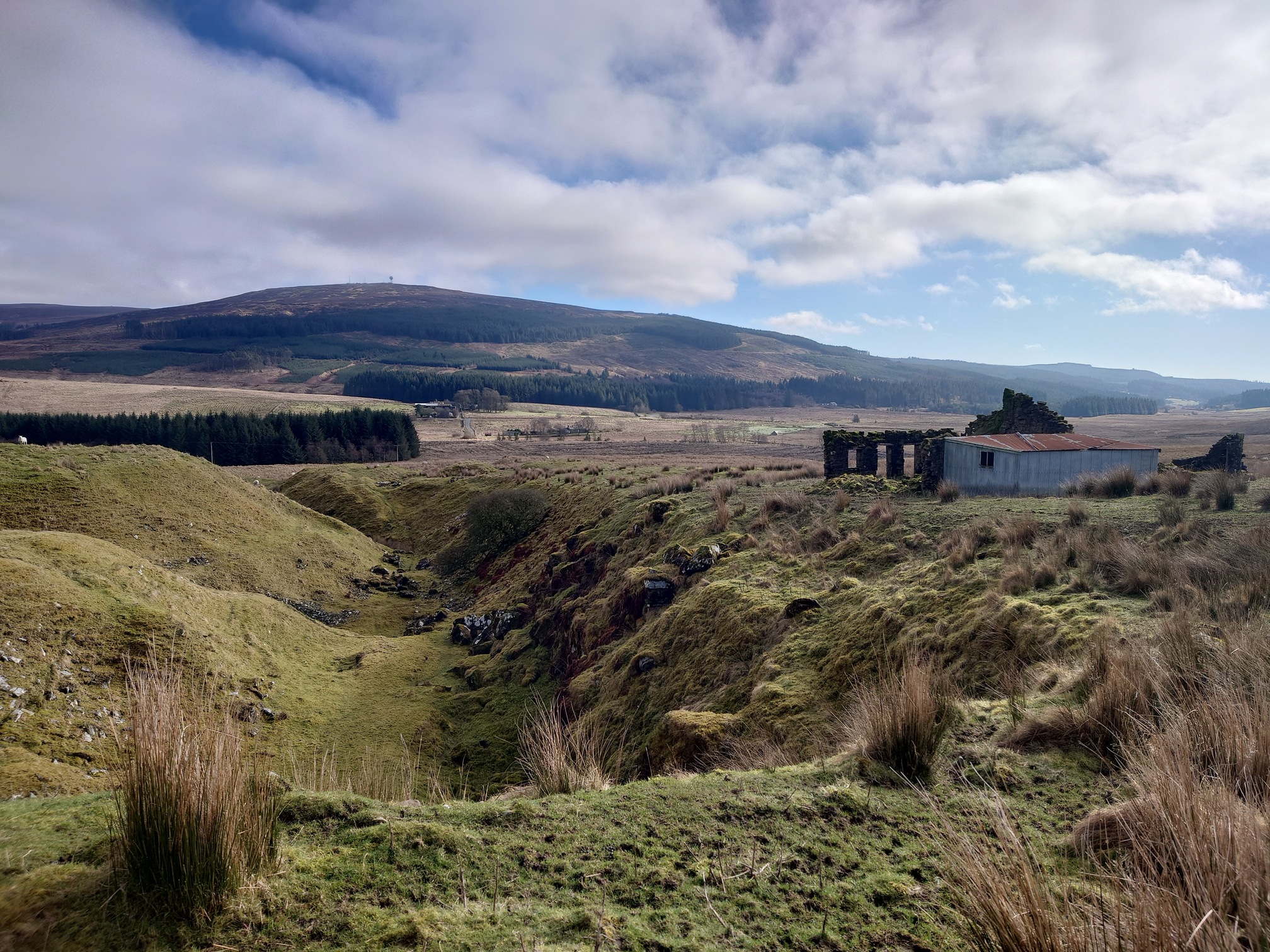 A stone building with most of the walls missing is abutted by an old corrugated metal shed with a rusty roof. They sit on the edge of a steep drop, with grassed over piles of what must have been spoil. In the distance, patches of plantation forestry lead up to a large hill on the horizon, Deadwater Fell.