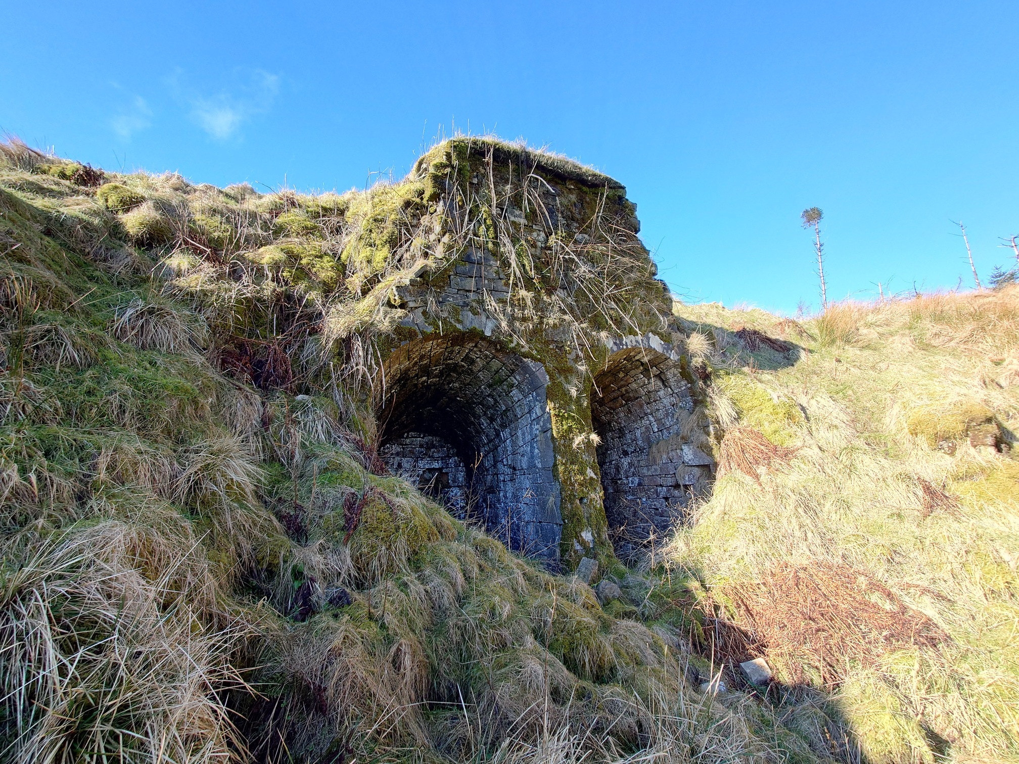 Closer up, vegetation hangs down the stone wall and the two arches can be seen to not go back very deeply into the rock. The sides of the quarry are thick with tussocky grass.