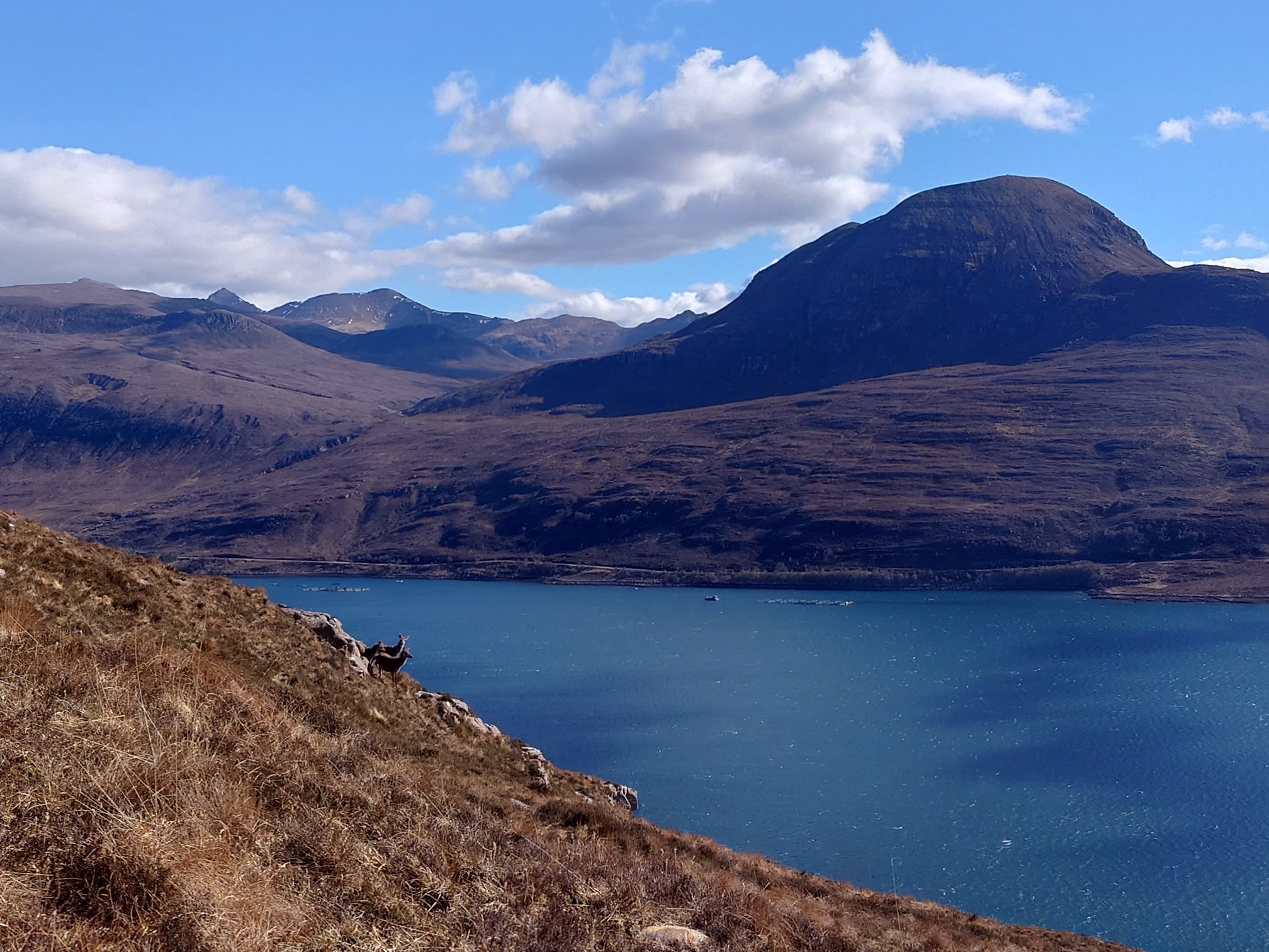 A view from a steep slope over Little Loch Broom, bright blue, to An Teallach mountains and the dome-shape of Sail Mhòr