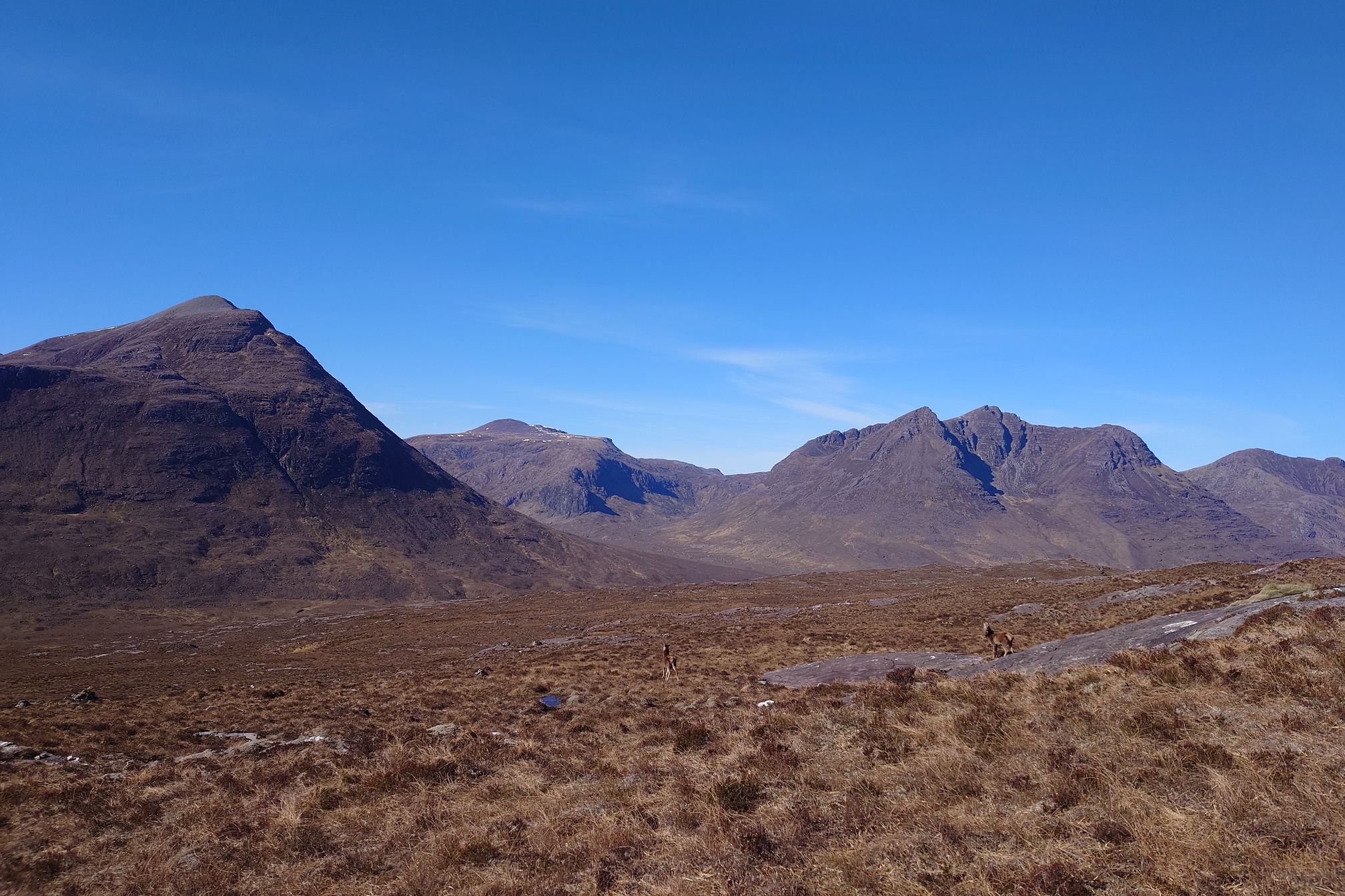 Looking across rocky moorland to the mountains of the Fisherfield Forest. There's no trees! A couple of red deer are watching.