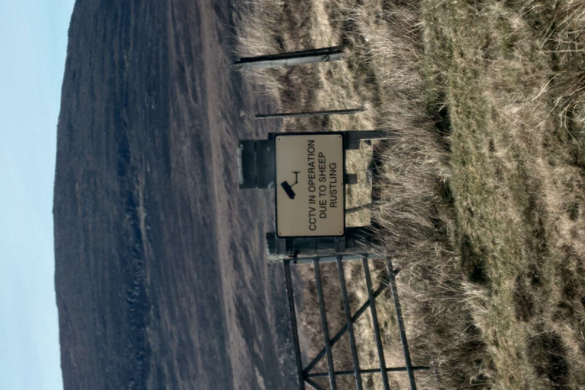 A yellow roadside sign: CCTV IN OPERATION DUE TO SHEEP RUSTLING 
