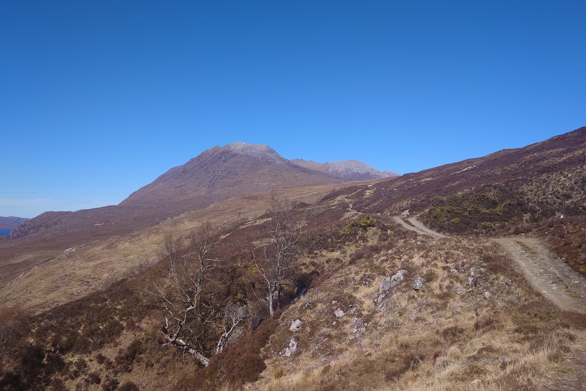 The track leads uphill, passing above some wispy trees in a hollow, and up to the side of a mountain.